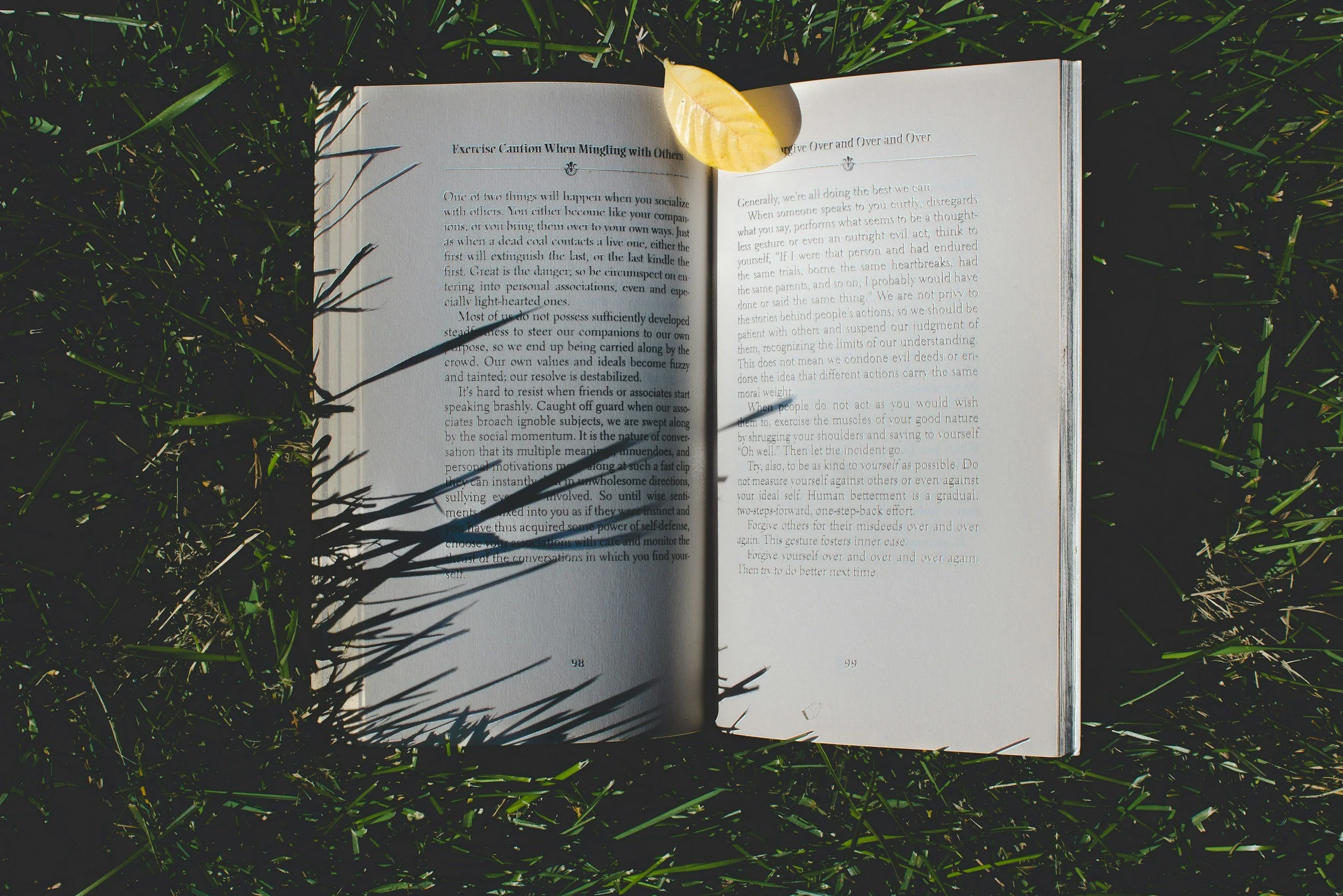 Open book placed on green grass with a yellow leaf on top of the book. The book's pages display text, with some shadow of grass cast across the pages.