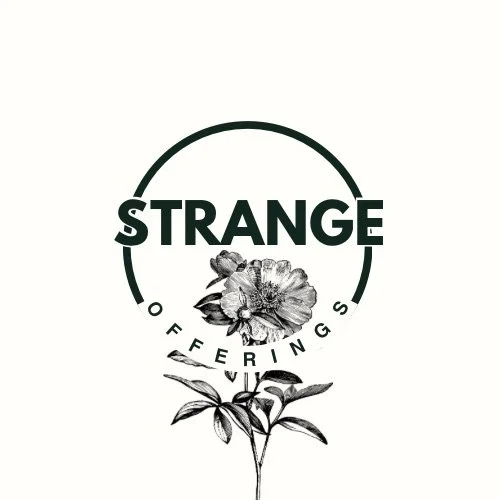 Leigh Kroeker | Strange Offerings