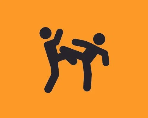 Coloured &amp; Black Belt Seminar 