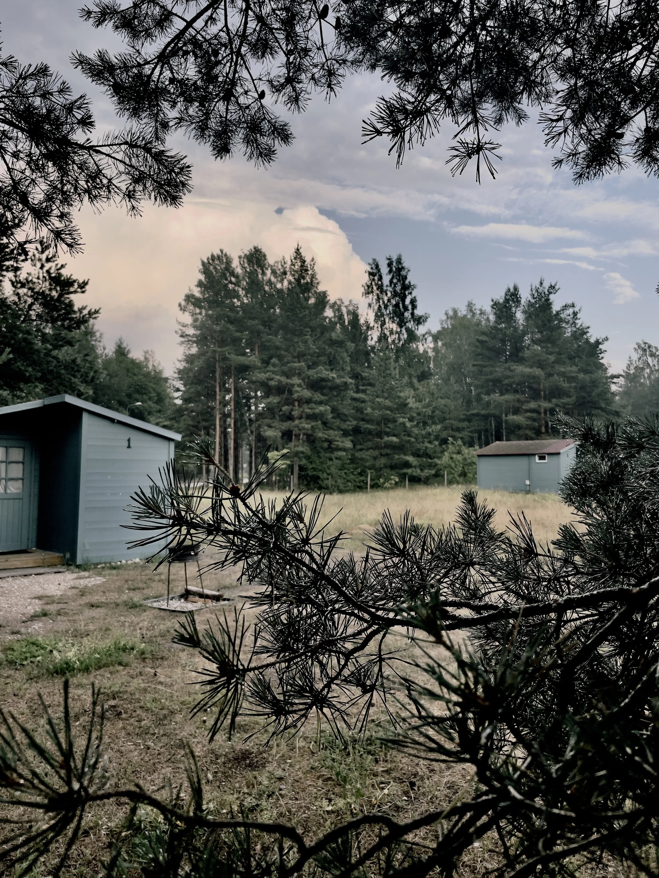 View through tree branches showing two small blue buildings in a grassy outdoor area, with a forest of tall trees in the background under a cloudy sky.