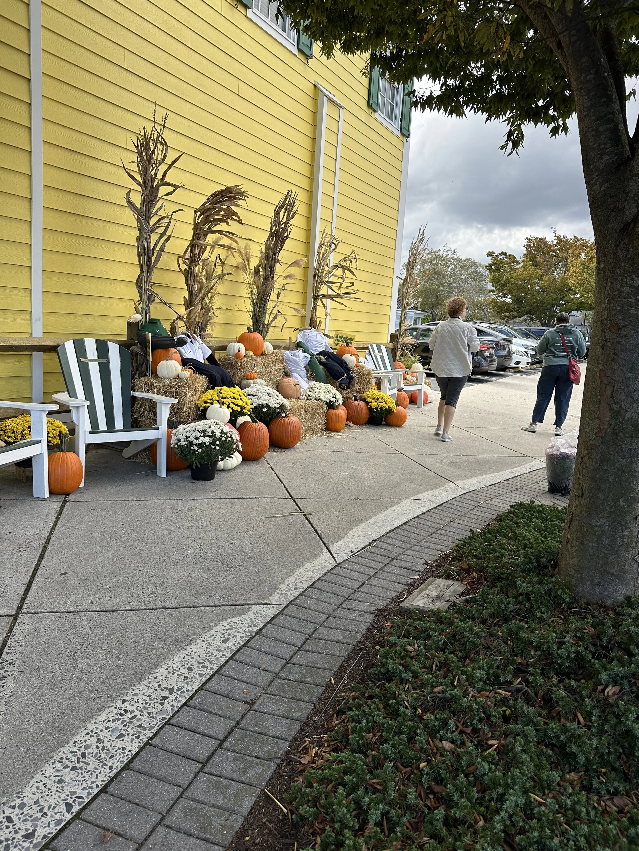 Lingopumpkin_2025_4.jpeg