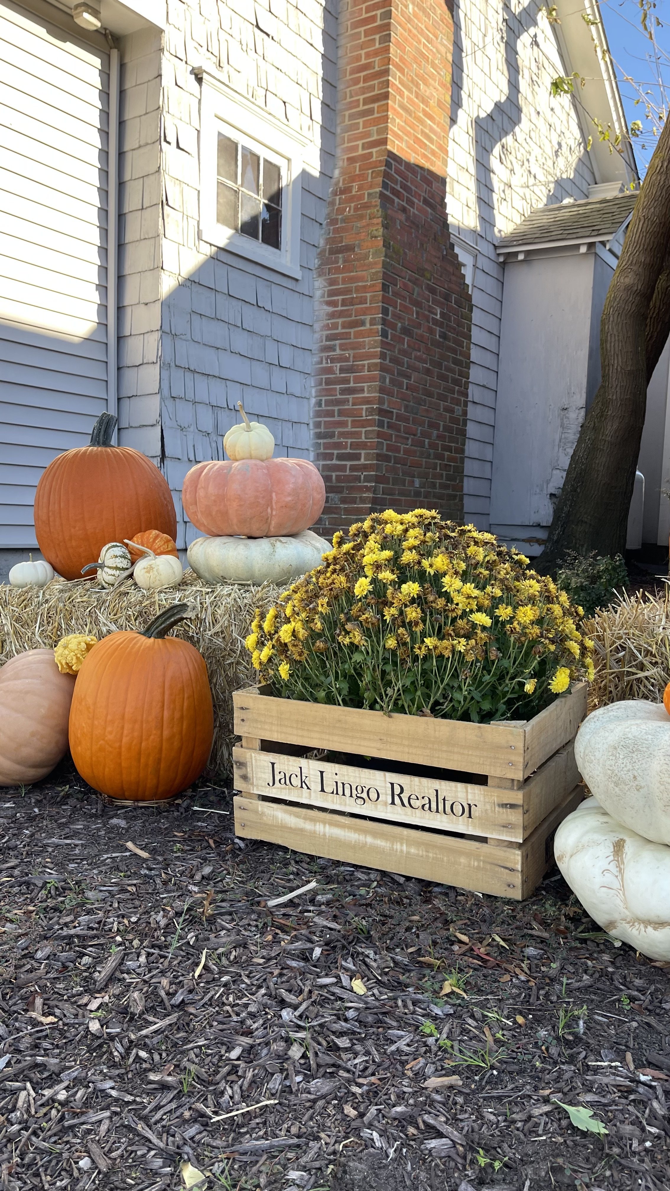 Lingopumpkin_2025_3.jpeg