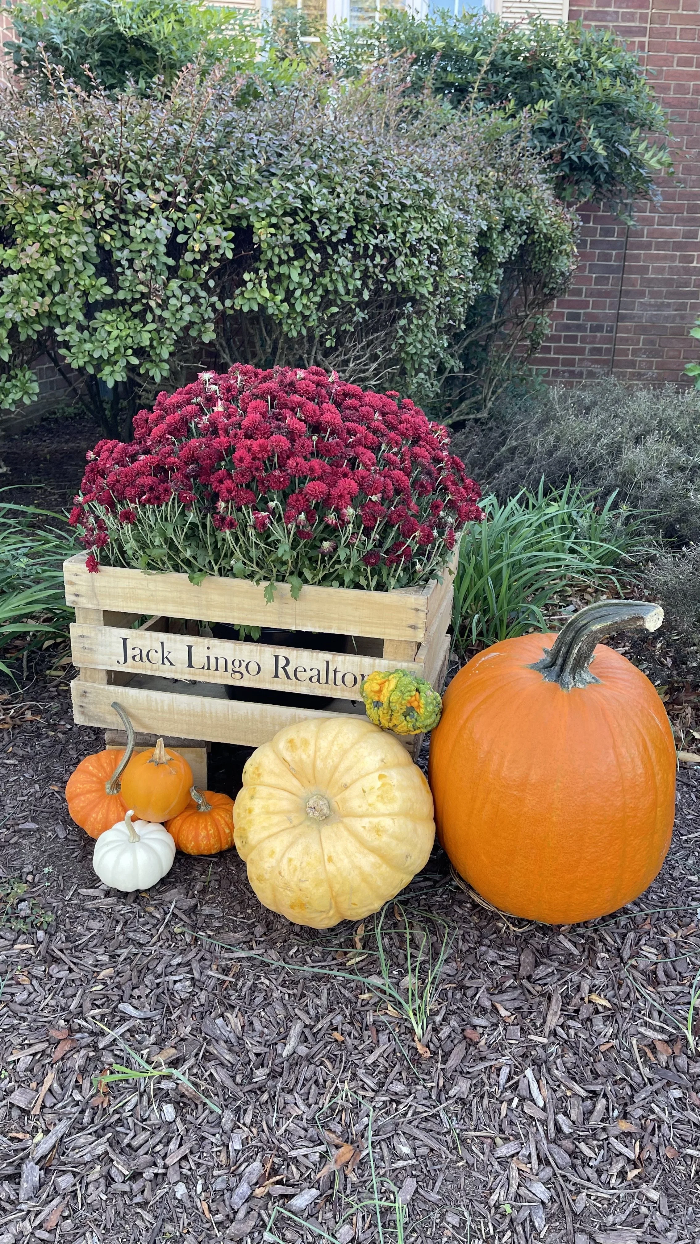 Lingopumpkin_2025_2.jpeg