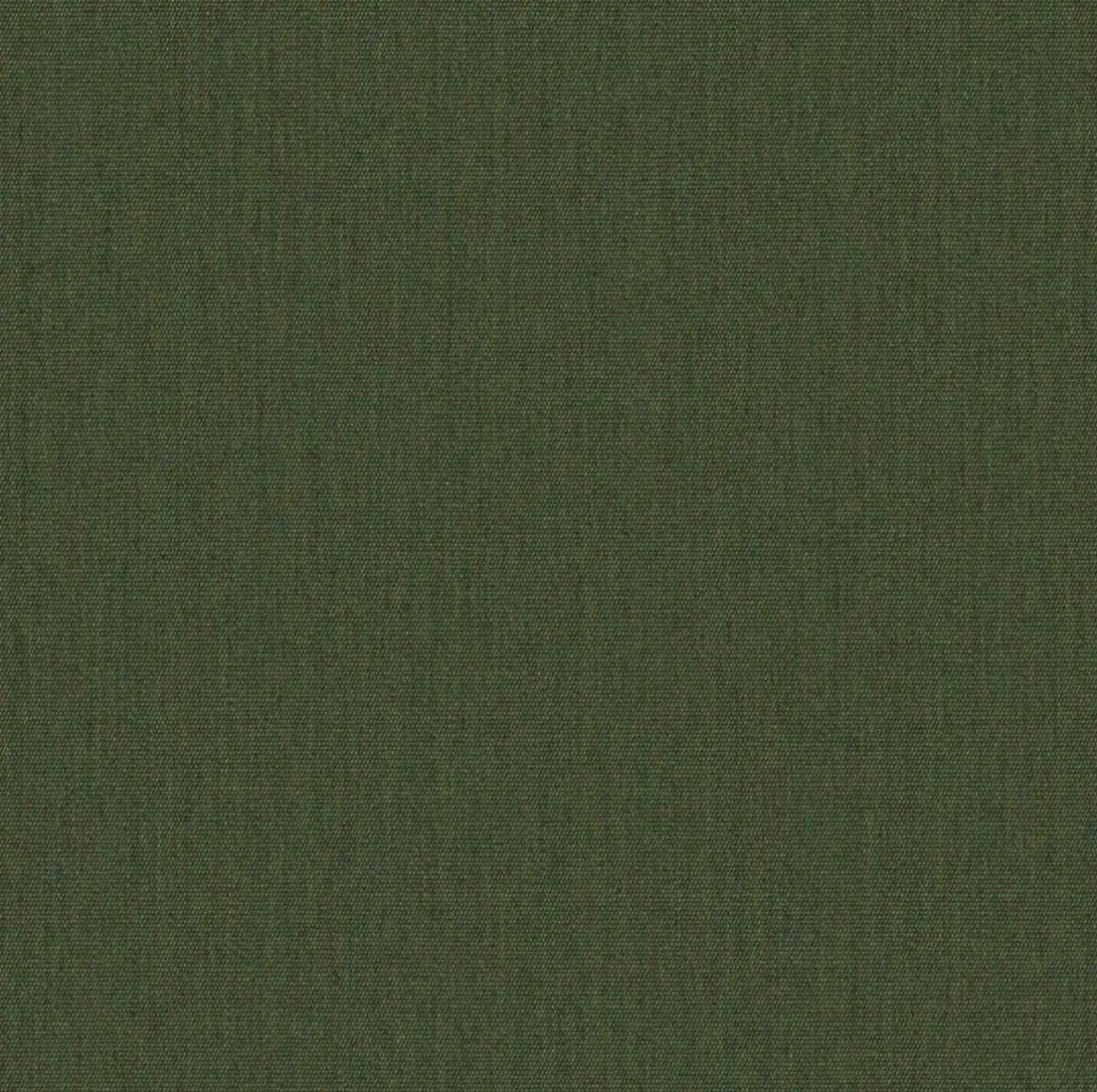 Canvas Fern