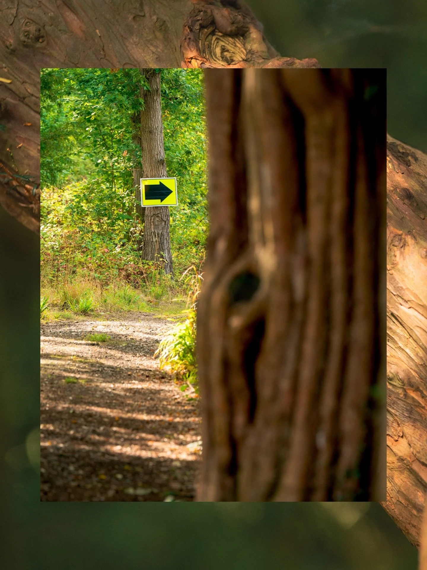 🌟 The Course Is Calling&hellip;

🏃 If 2026 is the year you want to discover what you&rsquo;re really capable of, London Backyard Ultra is ready for you. With Brighton, Manchester and Wirral BYU now sold out, London is the final opportunity to take 