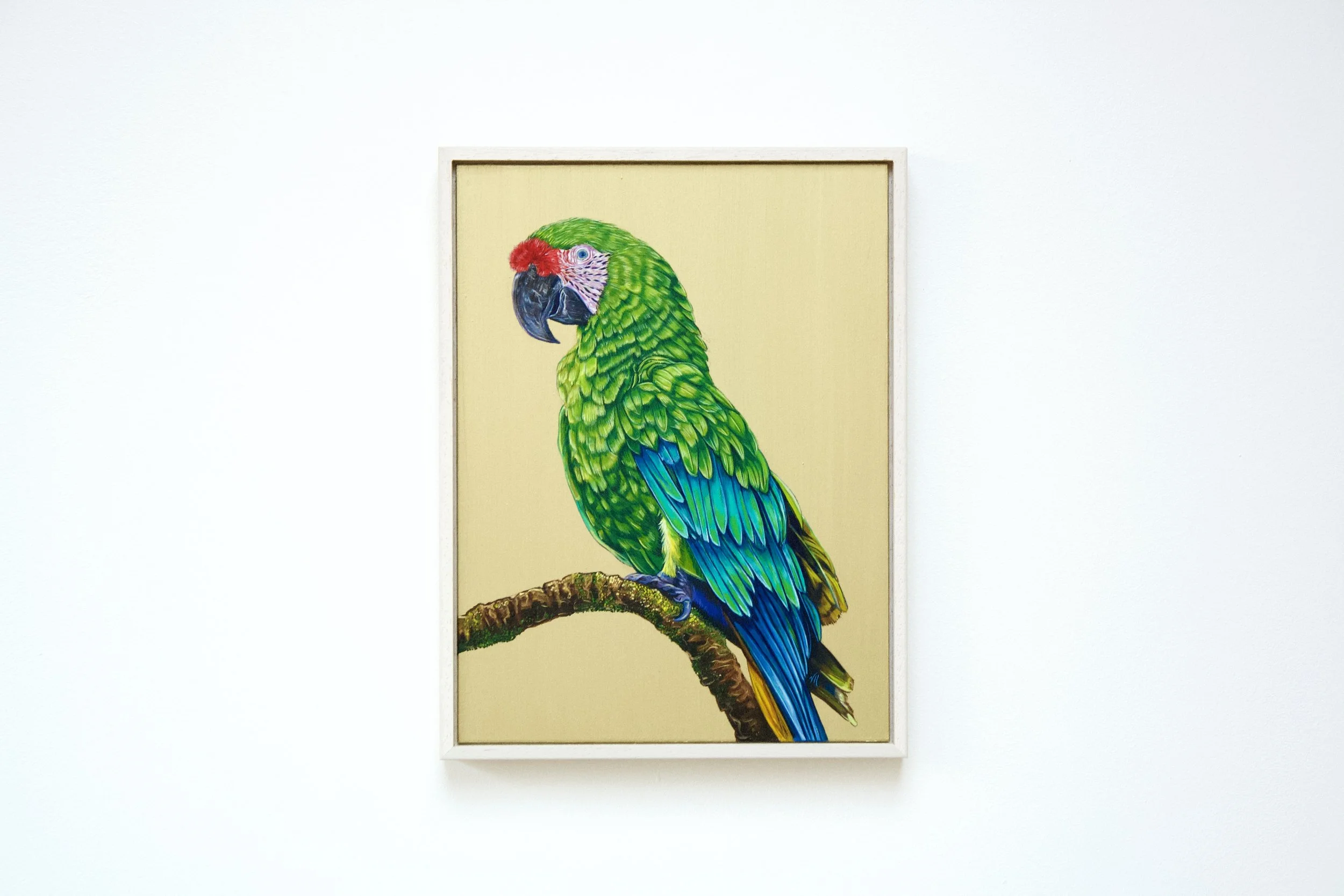 Royal Society of British Artists 2024