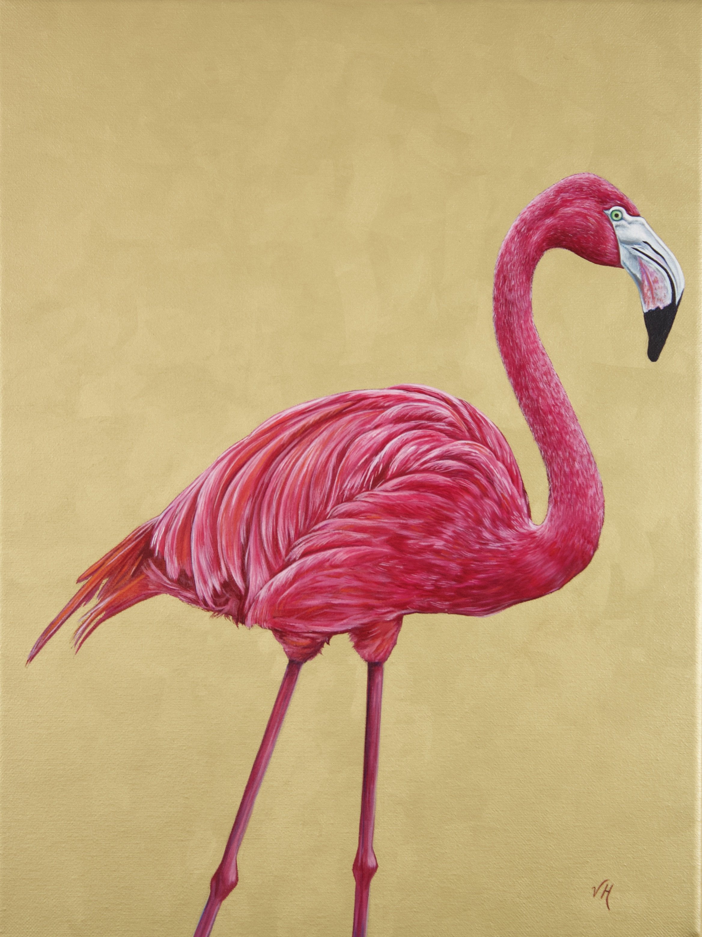 Flamingo IV