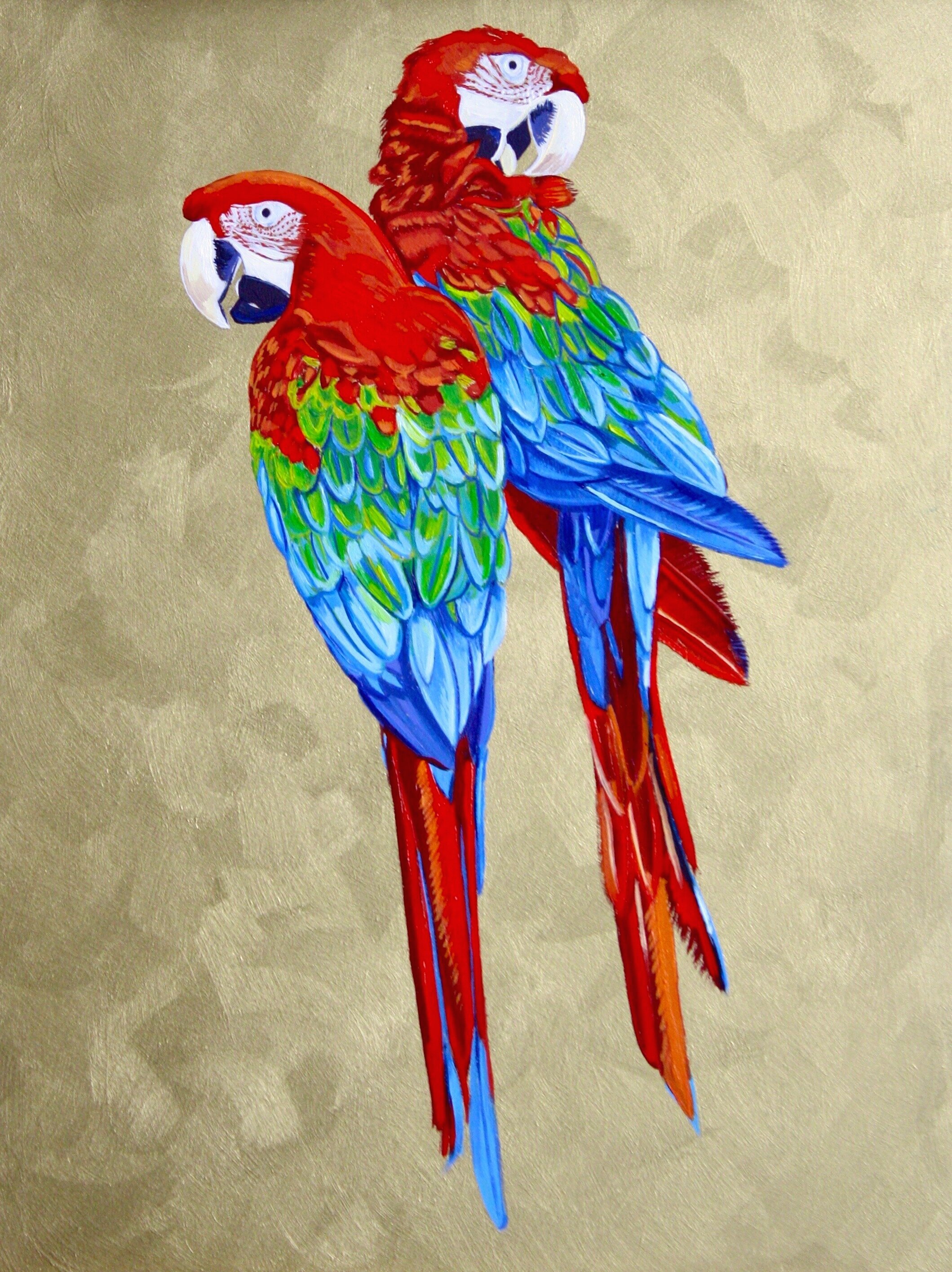 Two Parrots