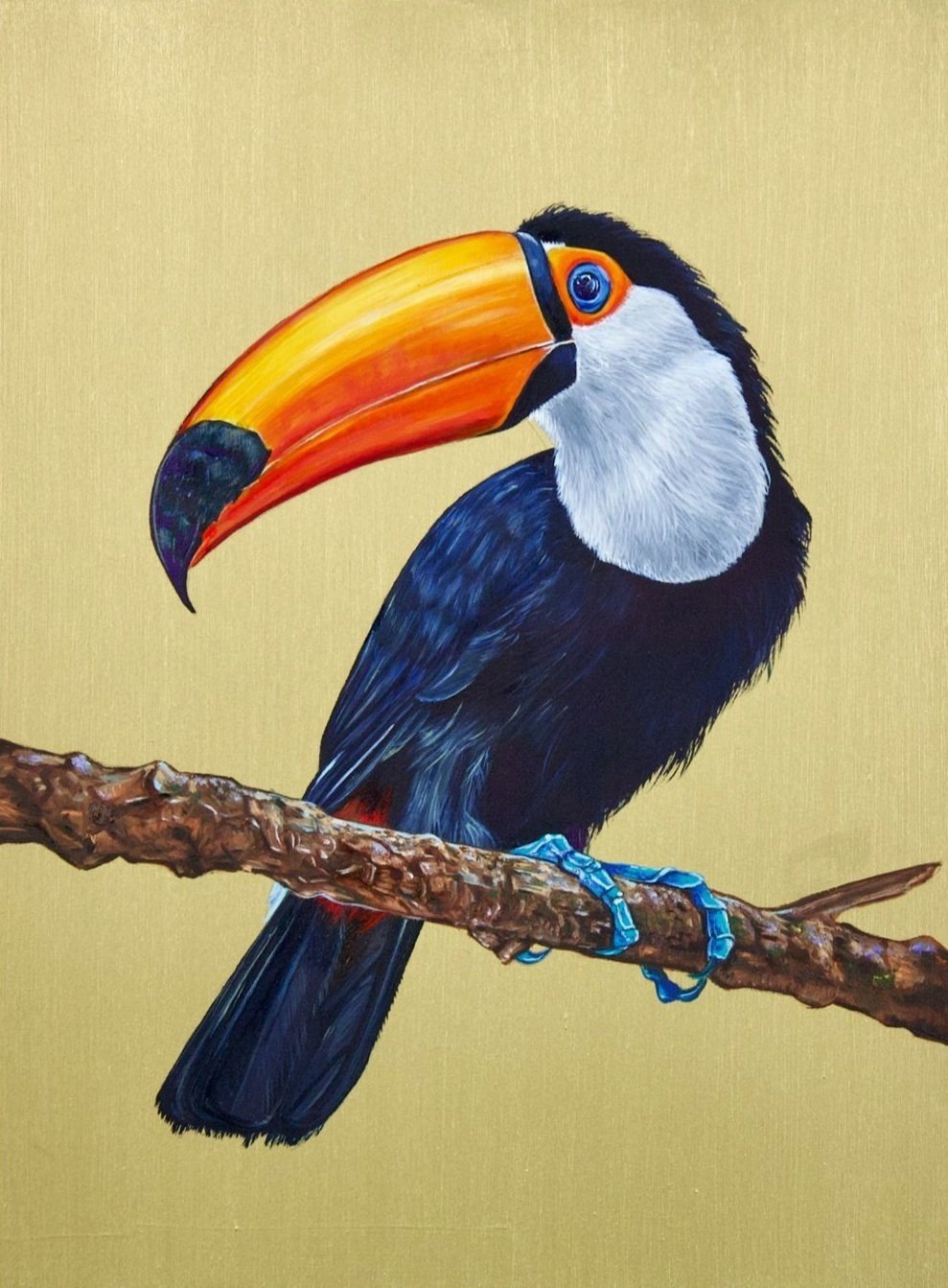 Toucan