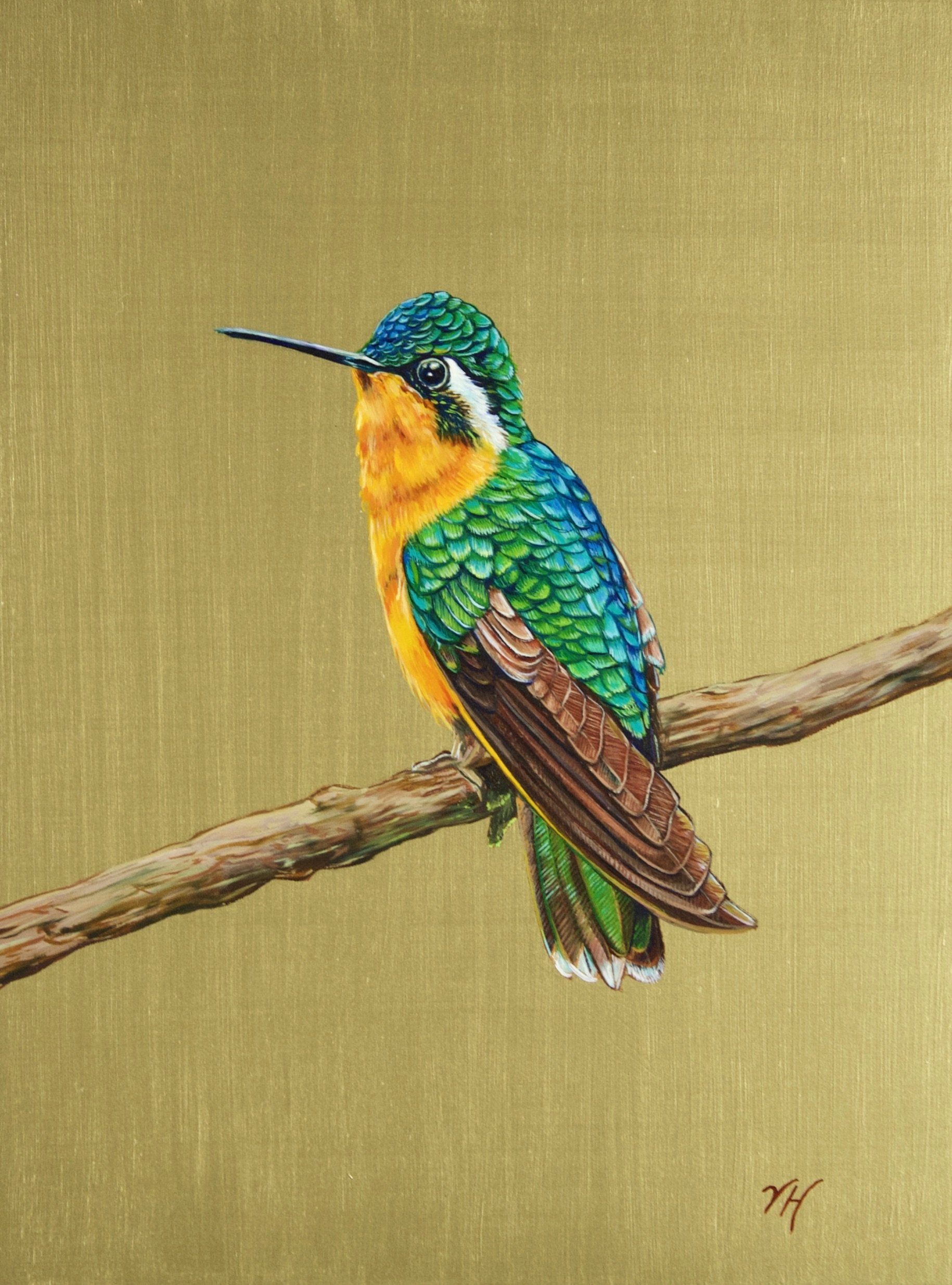 Purple-Throated Mountaingem Hummingbird (Female)