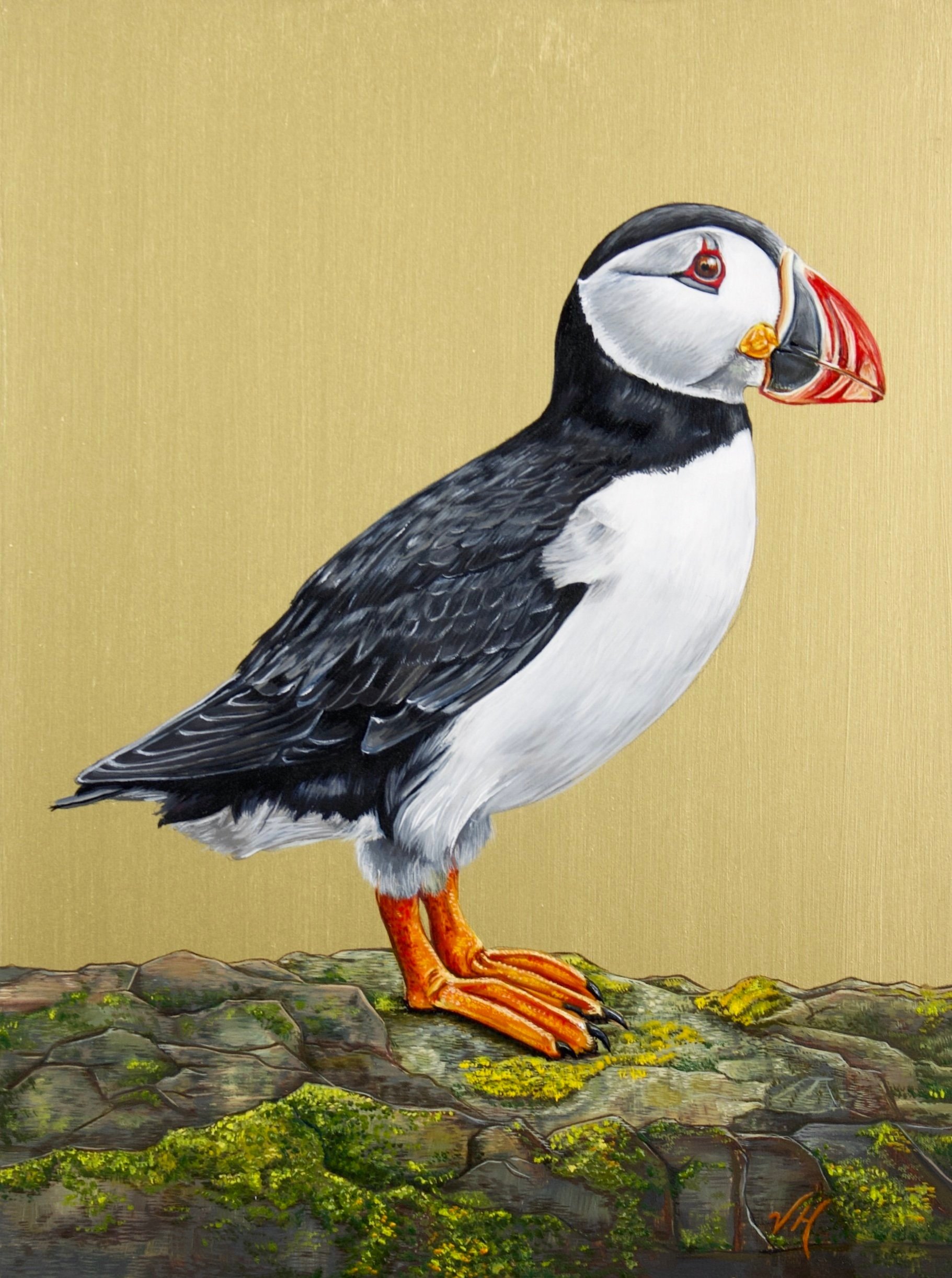 Puffin II