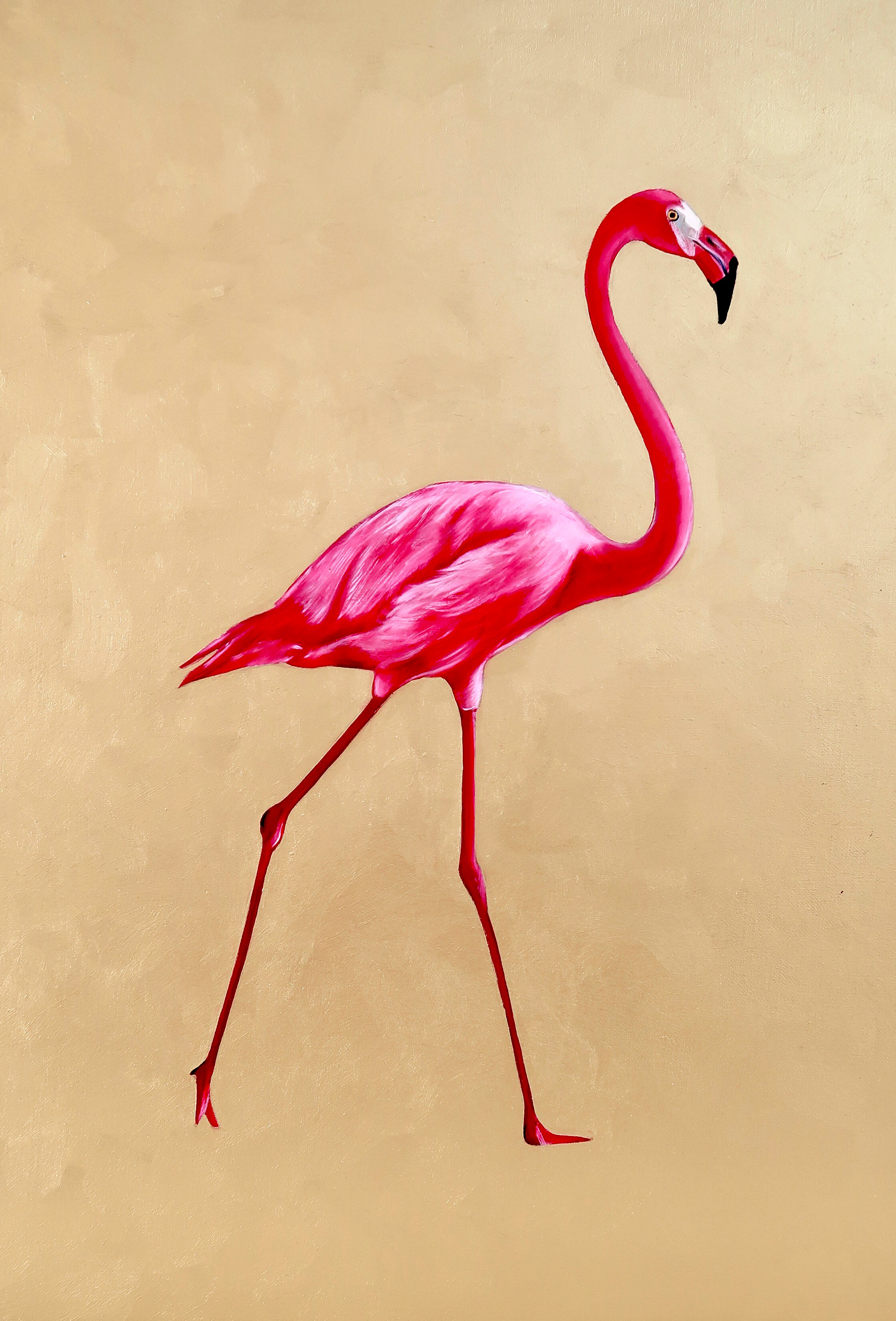 Flamingo II