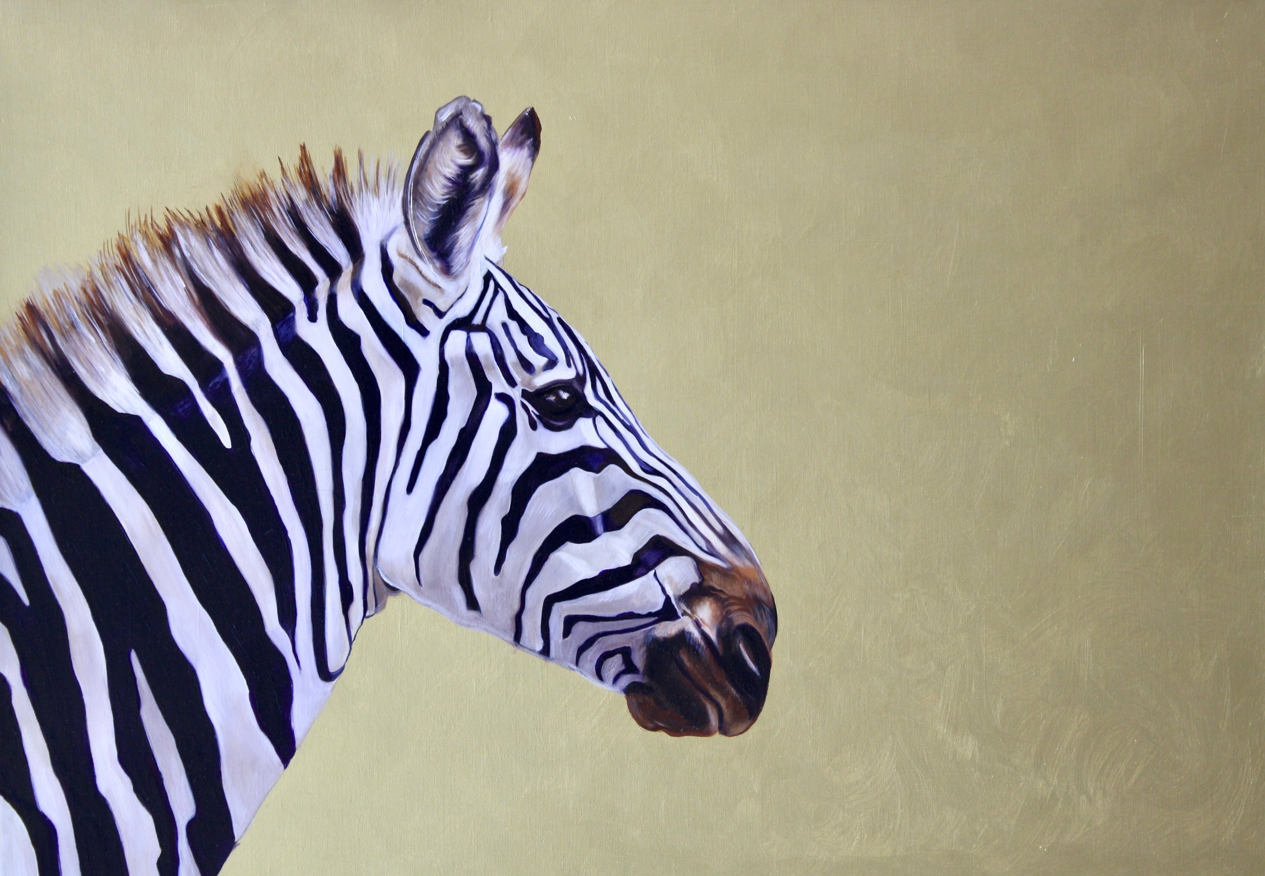 Zebra I