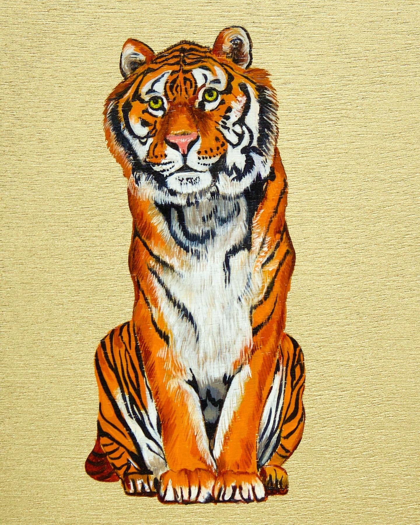 Big Cats: Tiger
