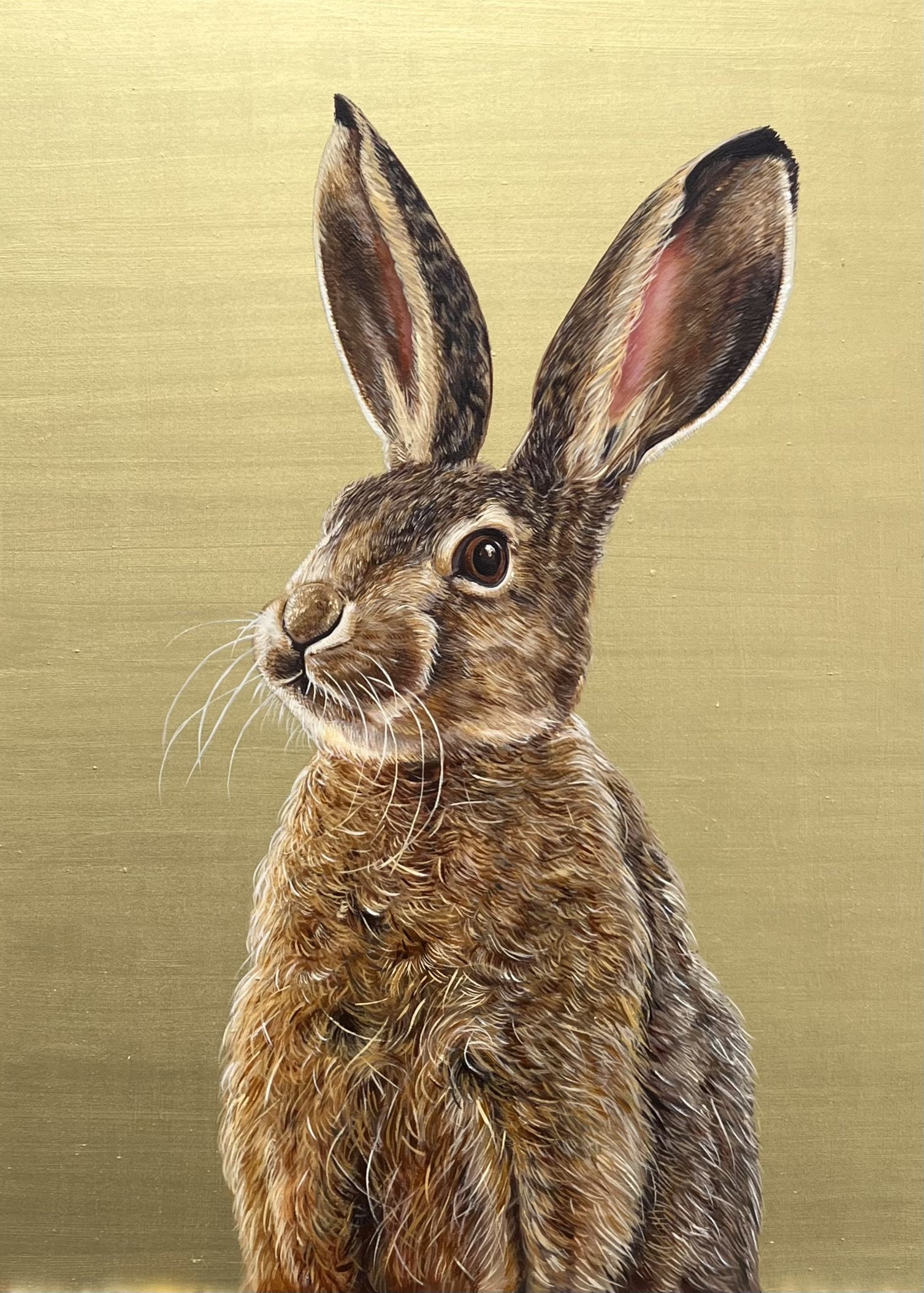 Hare II
