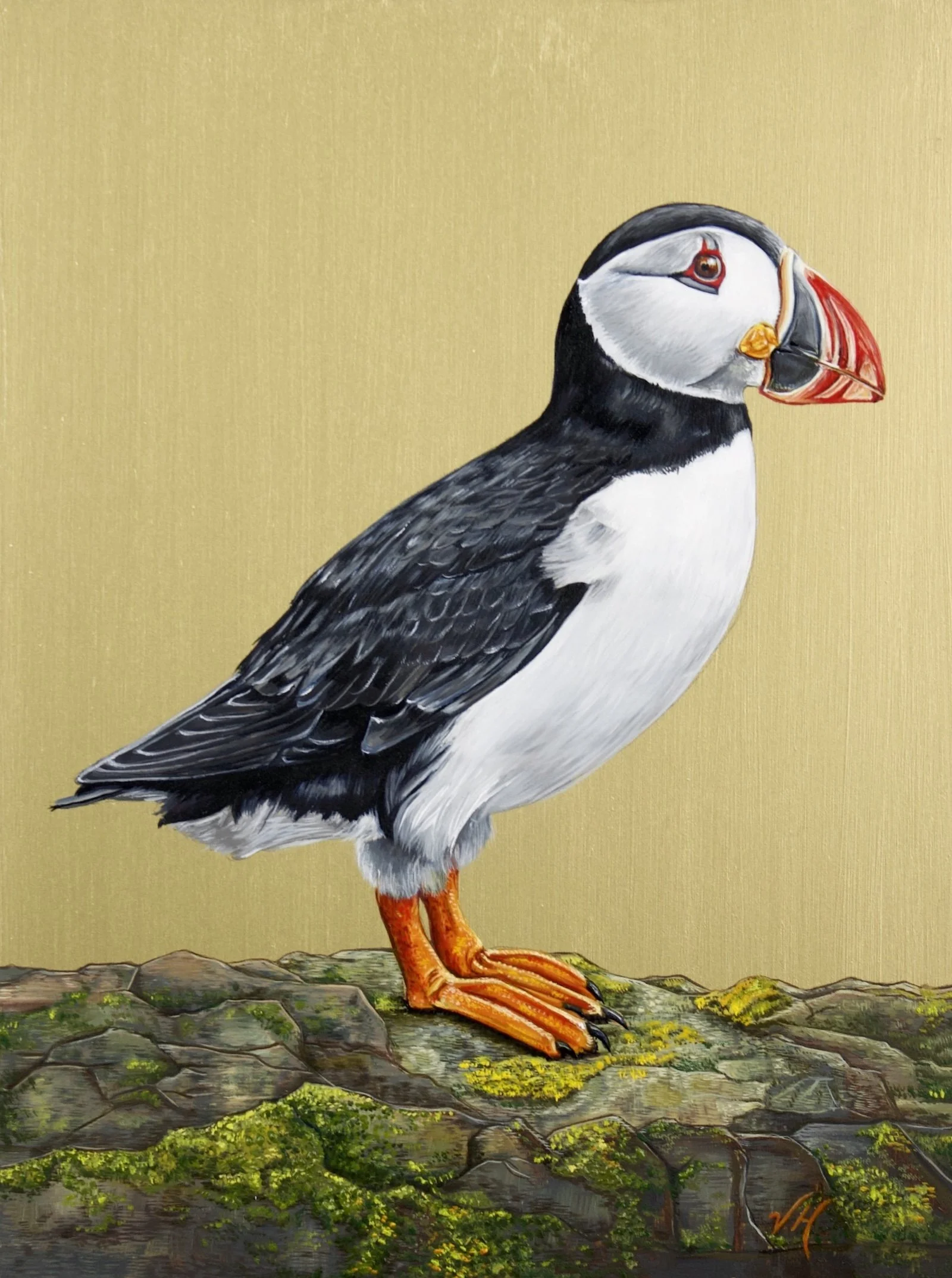 Victoria_Heald_Puffin_II.jpeg