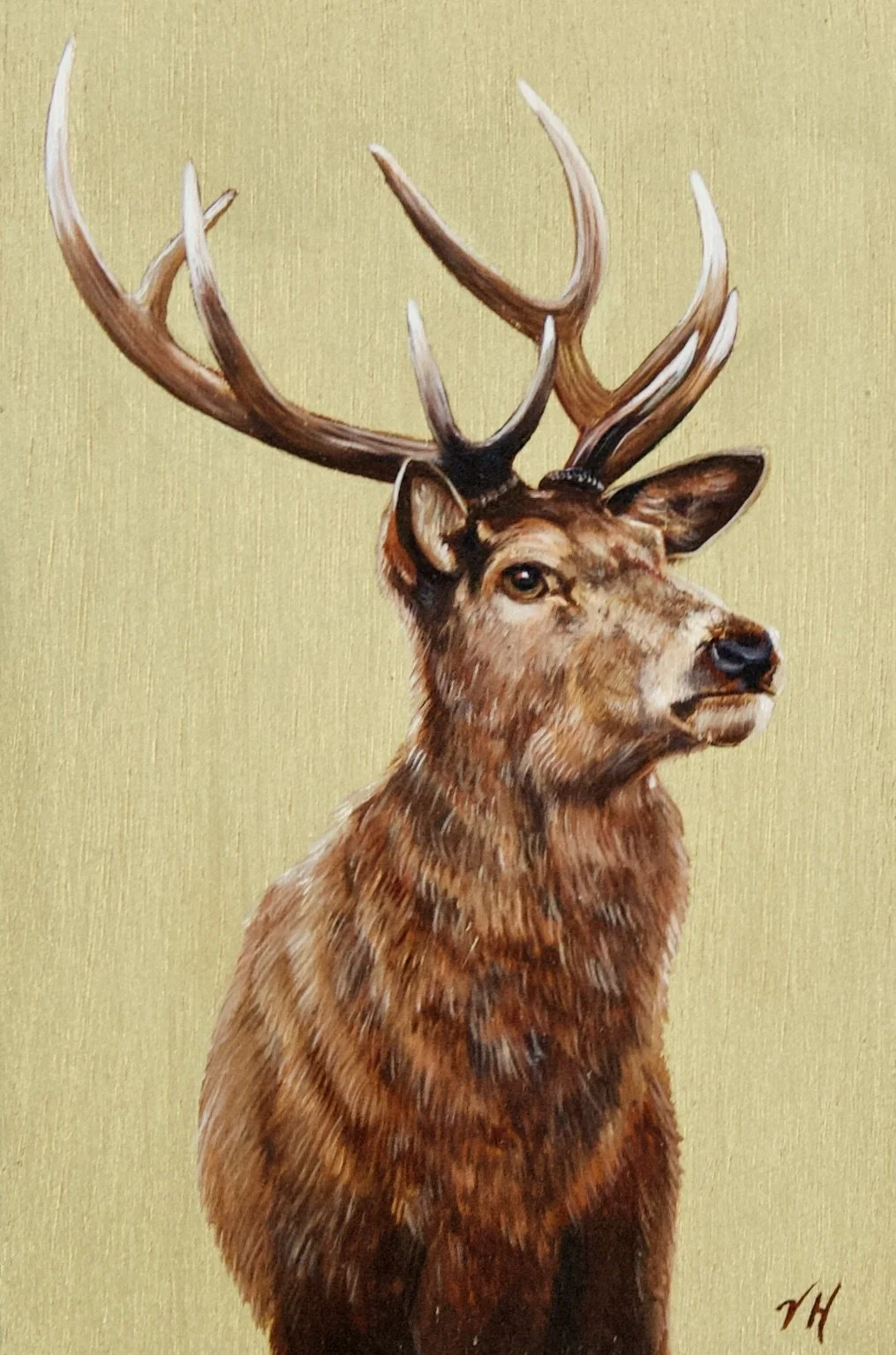 Postcard Painting: Stag