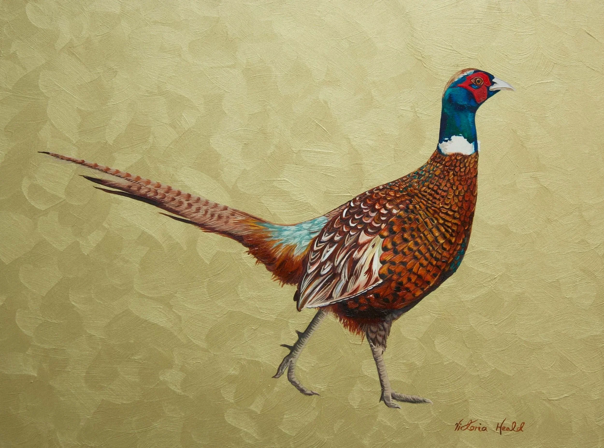 Pheasant