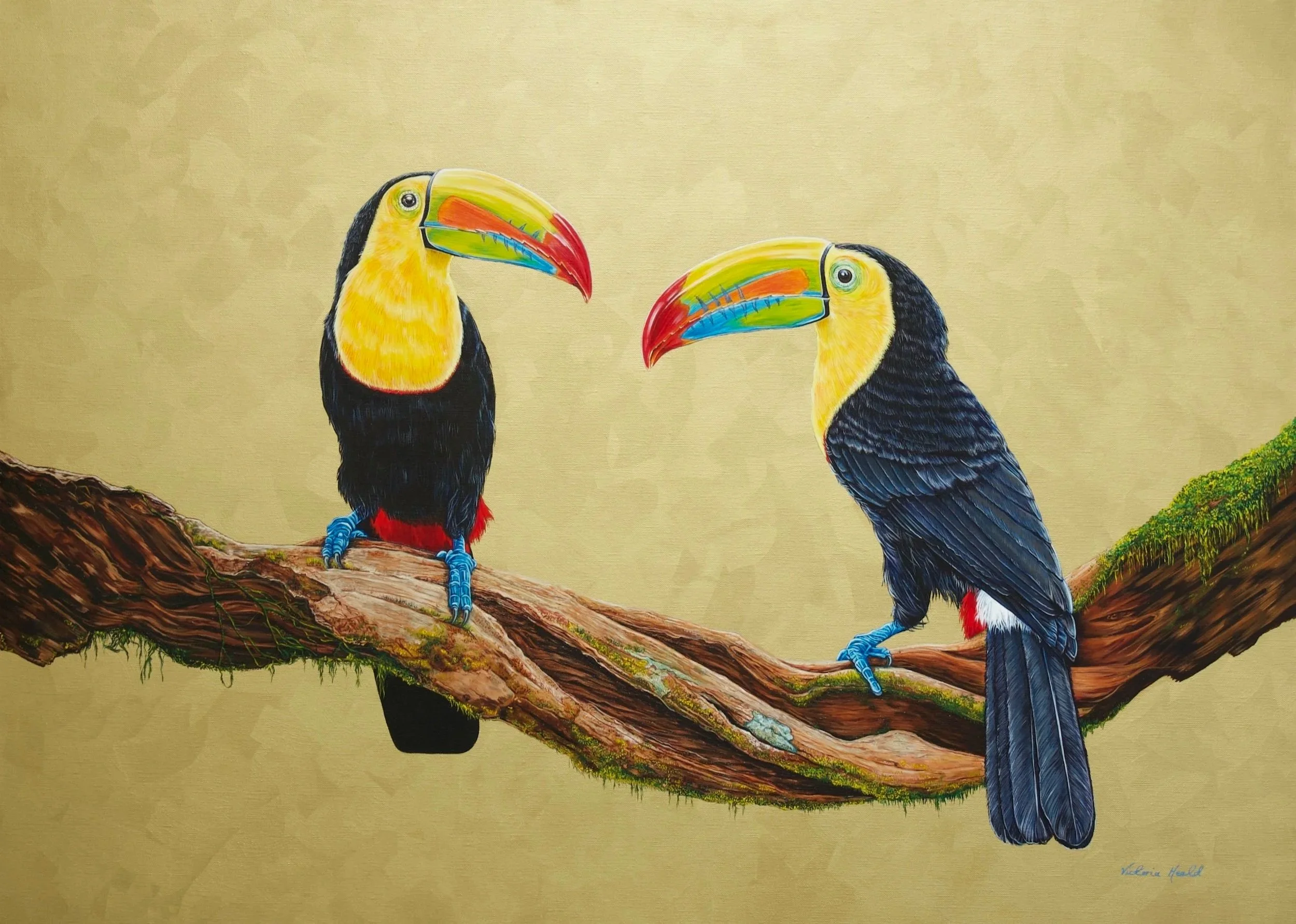 Toucans