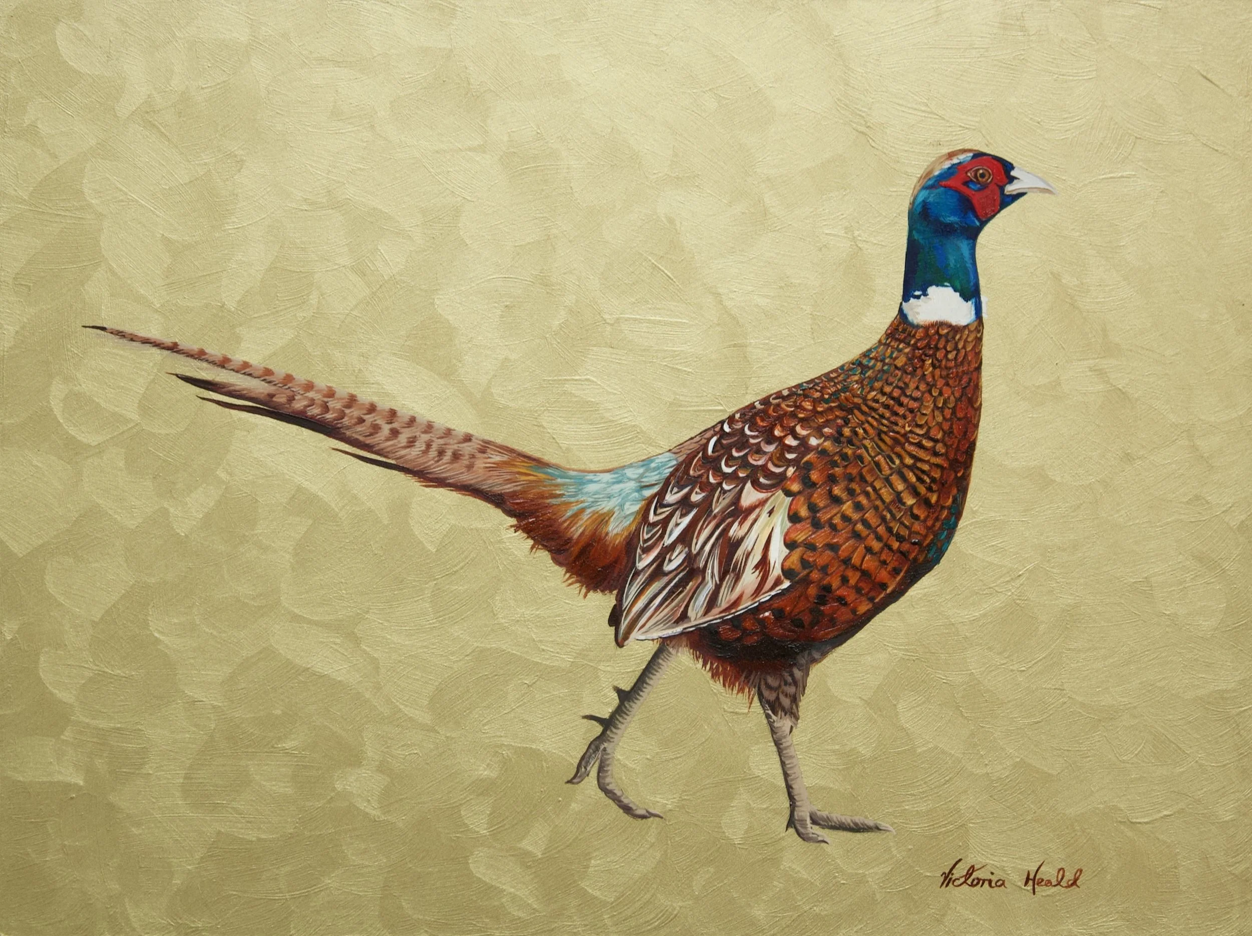 Pheasant