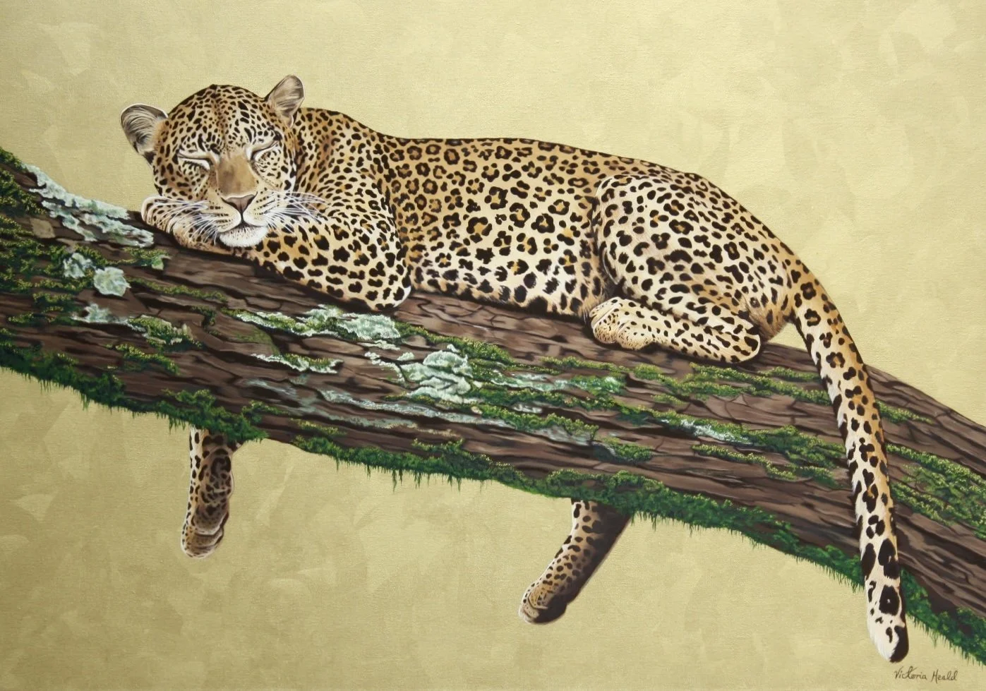Sleepy Leopard