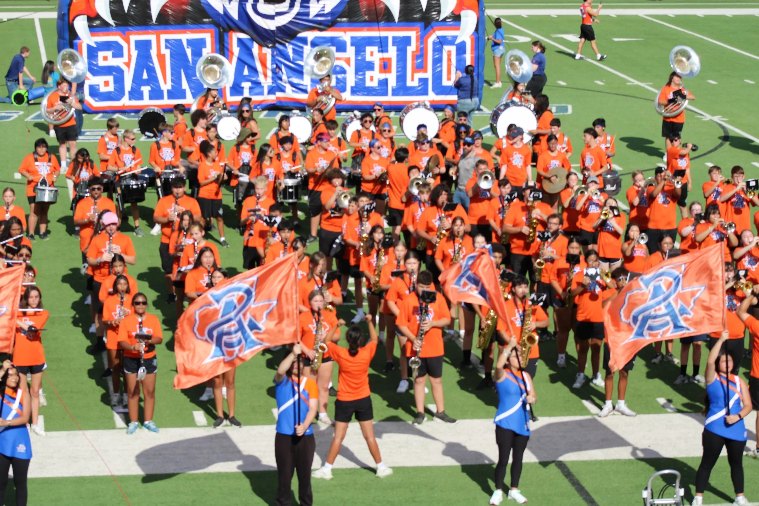 Meet the Bobcats