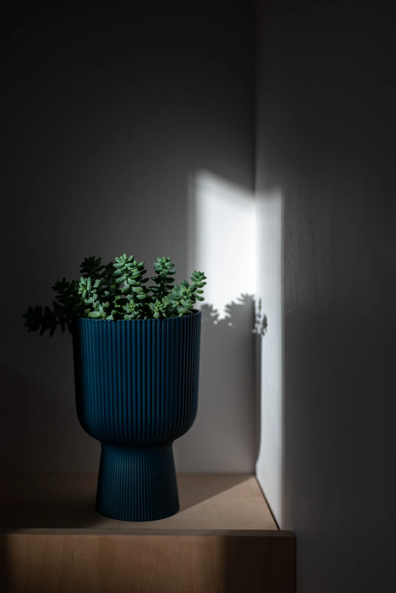 architecture_vaugelas_logement_LD-9.jpg