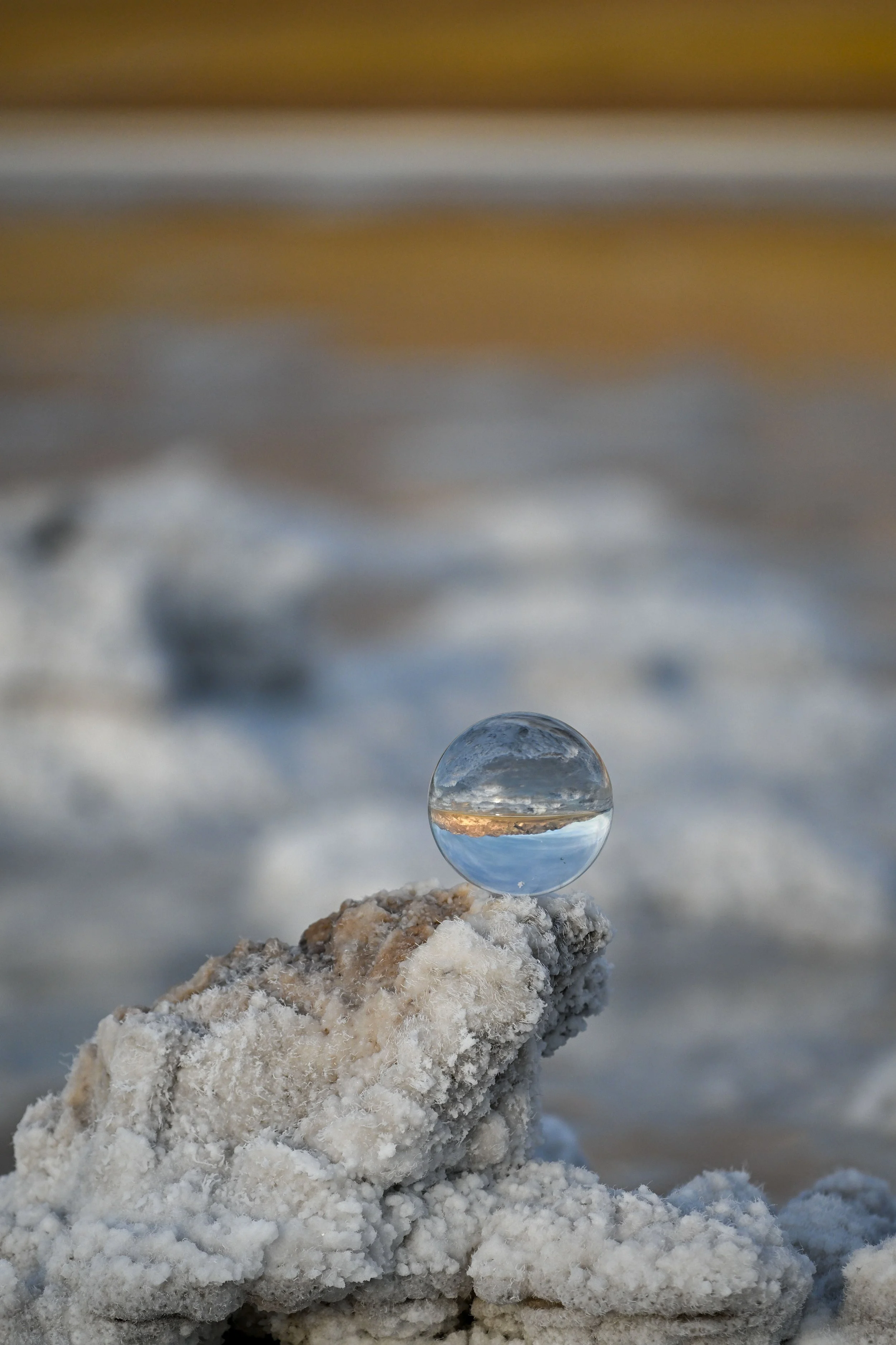 Glass Ball Photography