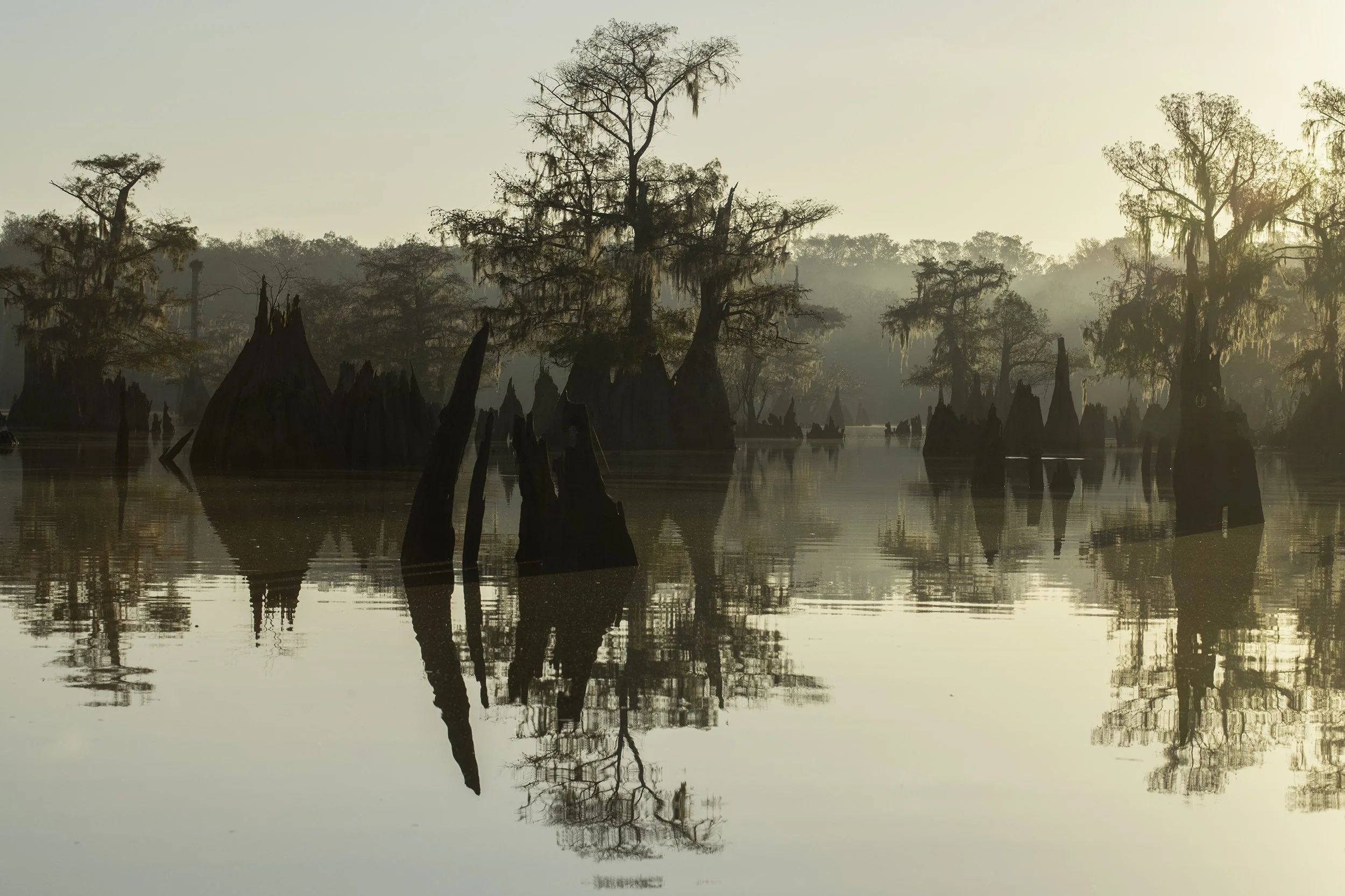 Cypress Lake, Florida