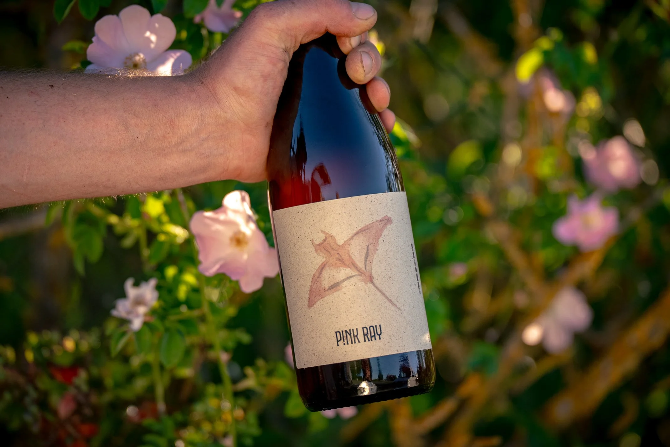 Pinot Gris und Bacchus Naturwein Pink Ray von David Amling