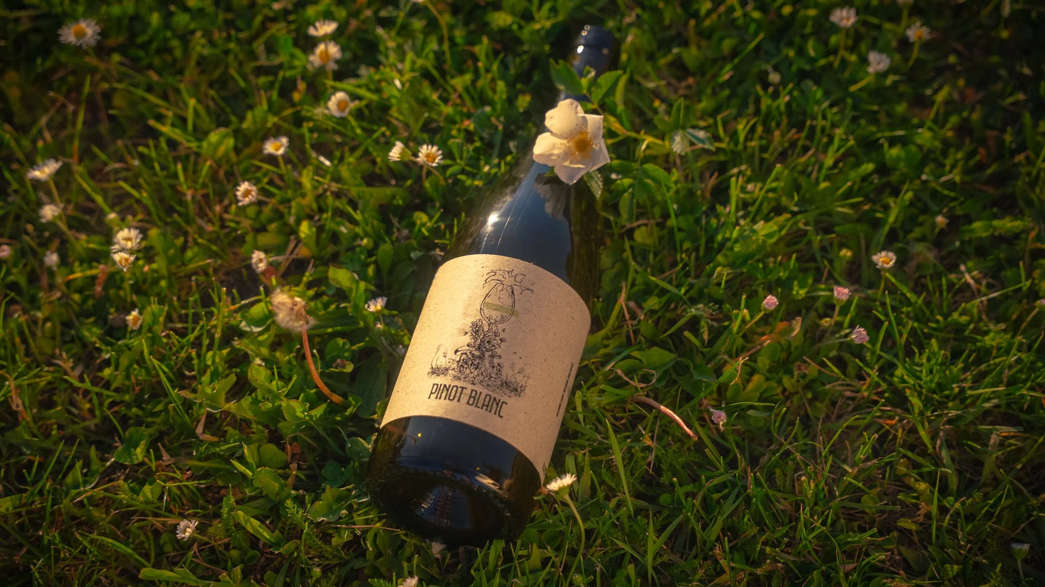 PINOT BLANC
