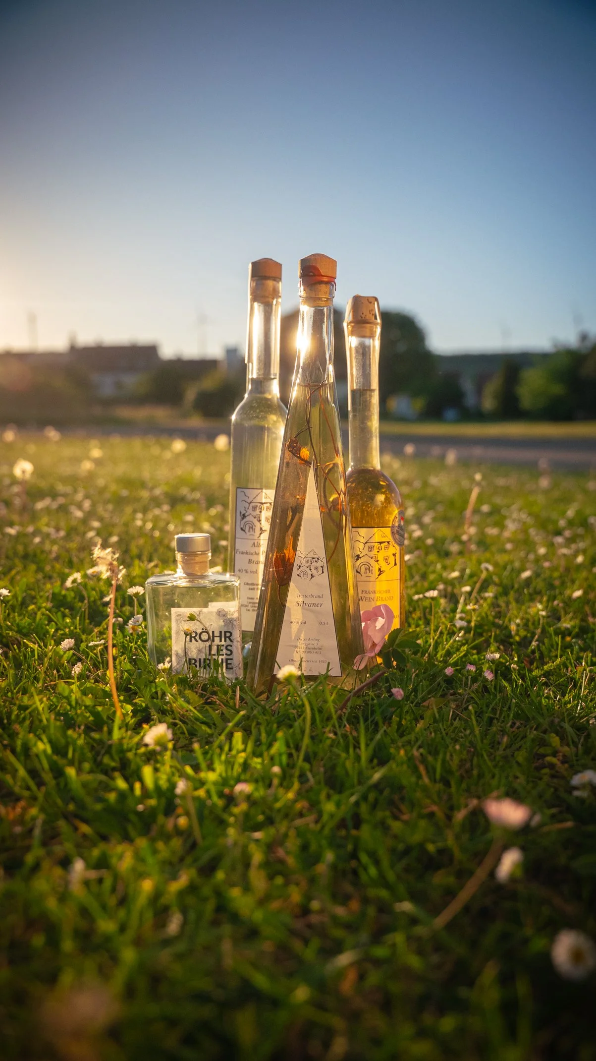 Das Sortiment an Bränden, Likören und Whiskey von Dieter Amling kann in der fränkischen Schnapsbrennerei gekostet werden.