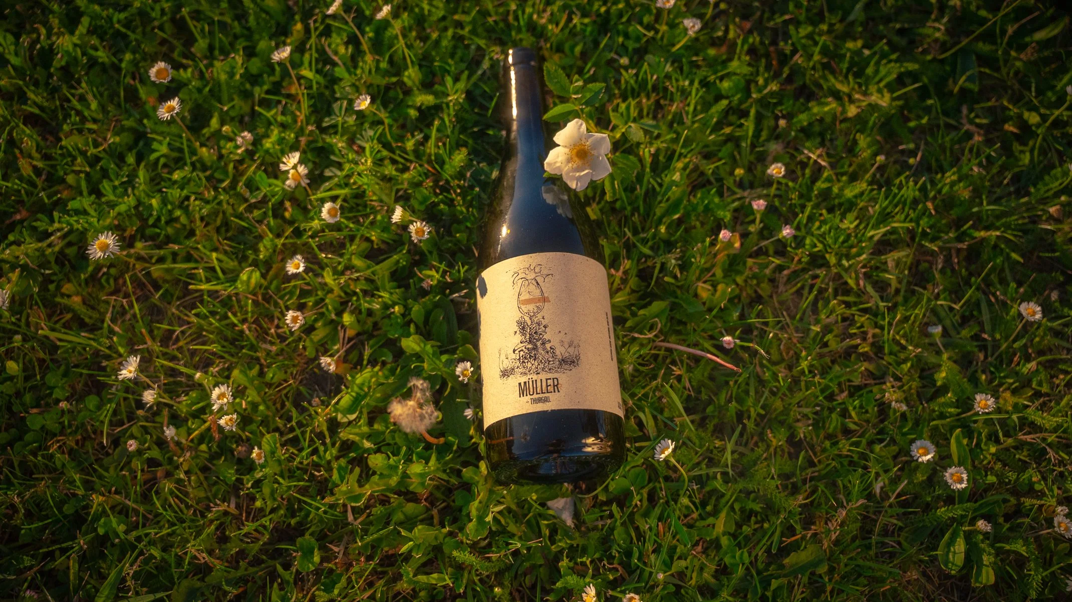 Ein fränkischer Landwein vom Main Müller Thurgau aus dem Natural Wine Sortiment von David Amling.