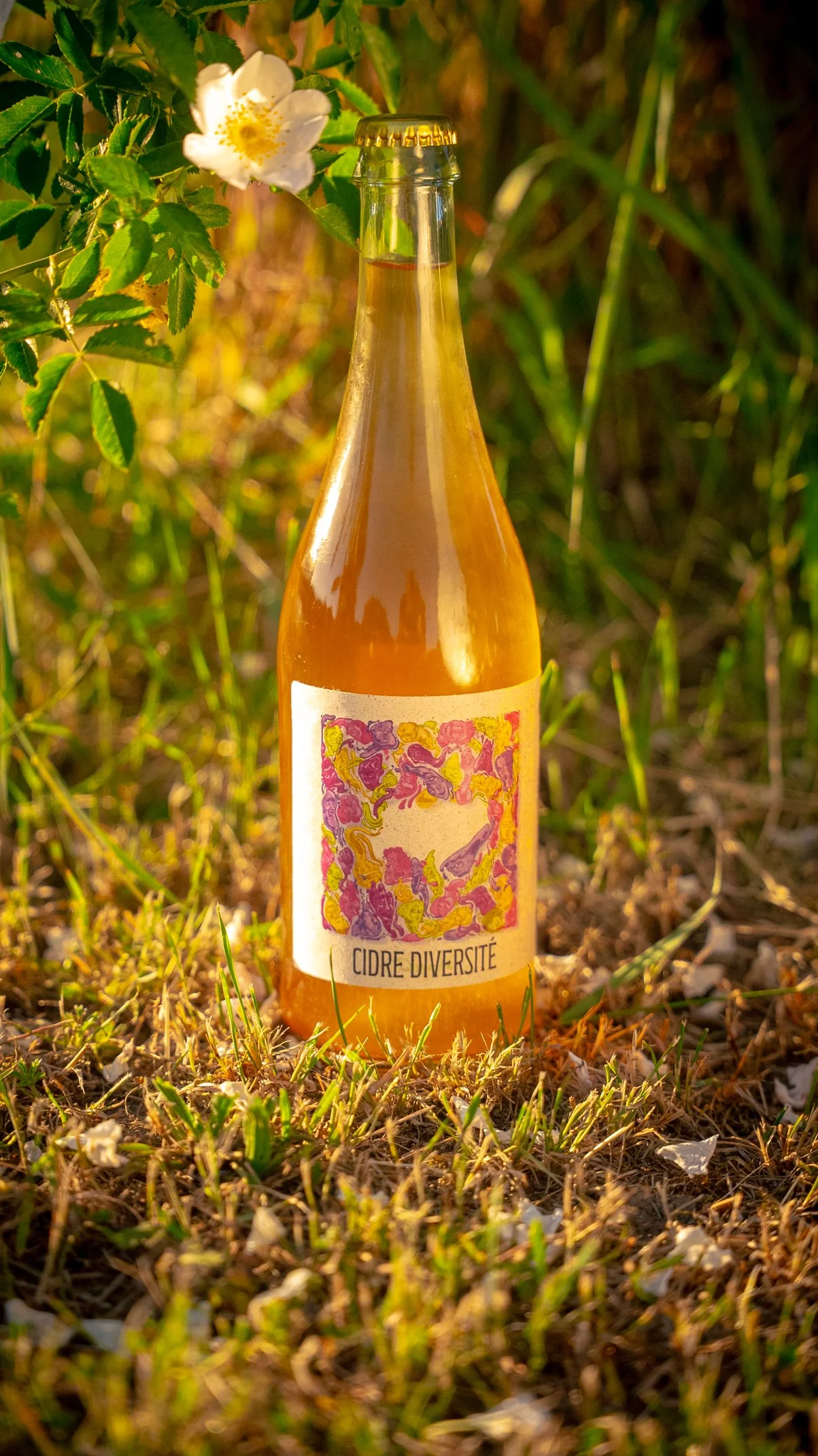 CIDRE DIVERSITÉ