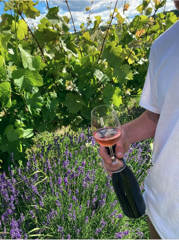 Winzer David Amling hält ein Glas Roséwein in einem Weinberg. Folge ihm auf Instagram, um mehr über seinen Rotling, Orange Wine und fränkischen Landweine zu lernen.
