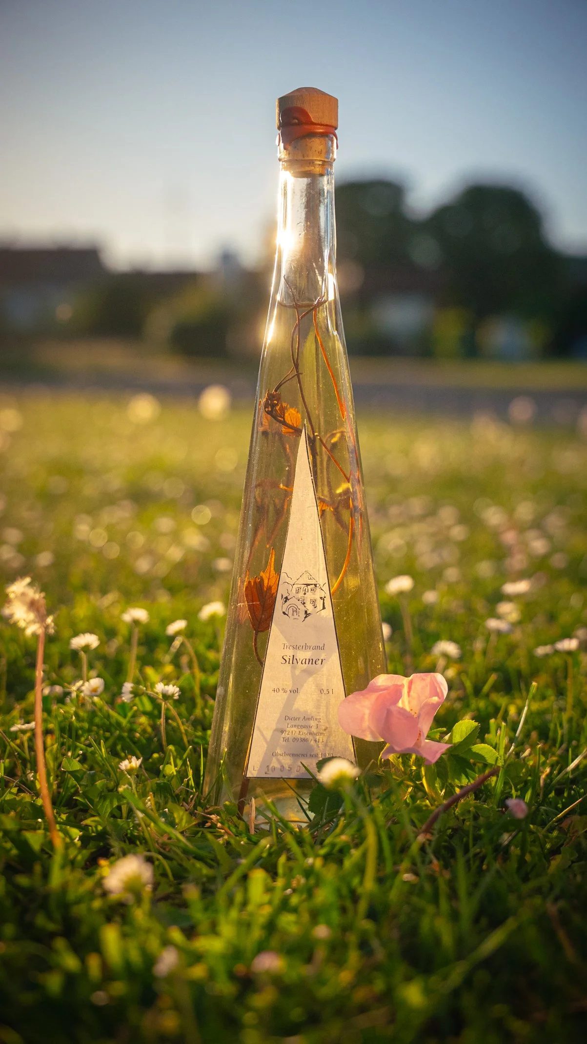 Eine Flasche Tresterbrand Silvaner von Dieter Amling steht auf einer sonnigen Naturwiese.