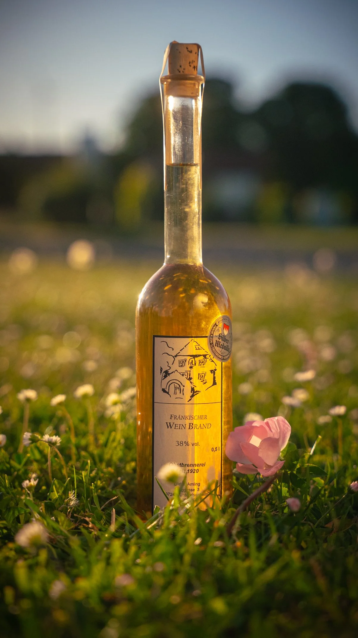 Eine Flasche fränkischer Weinbrand, der mit einer Silbermedallie ausgezeichnet wurde steht auf einer Sommerwiese.