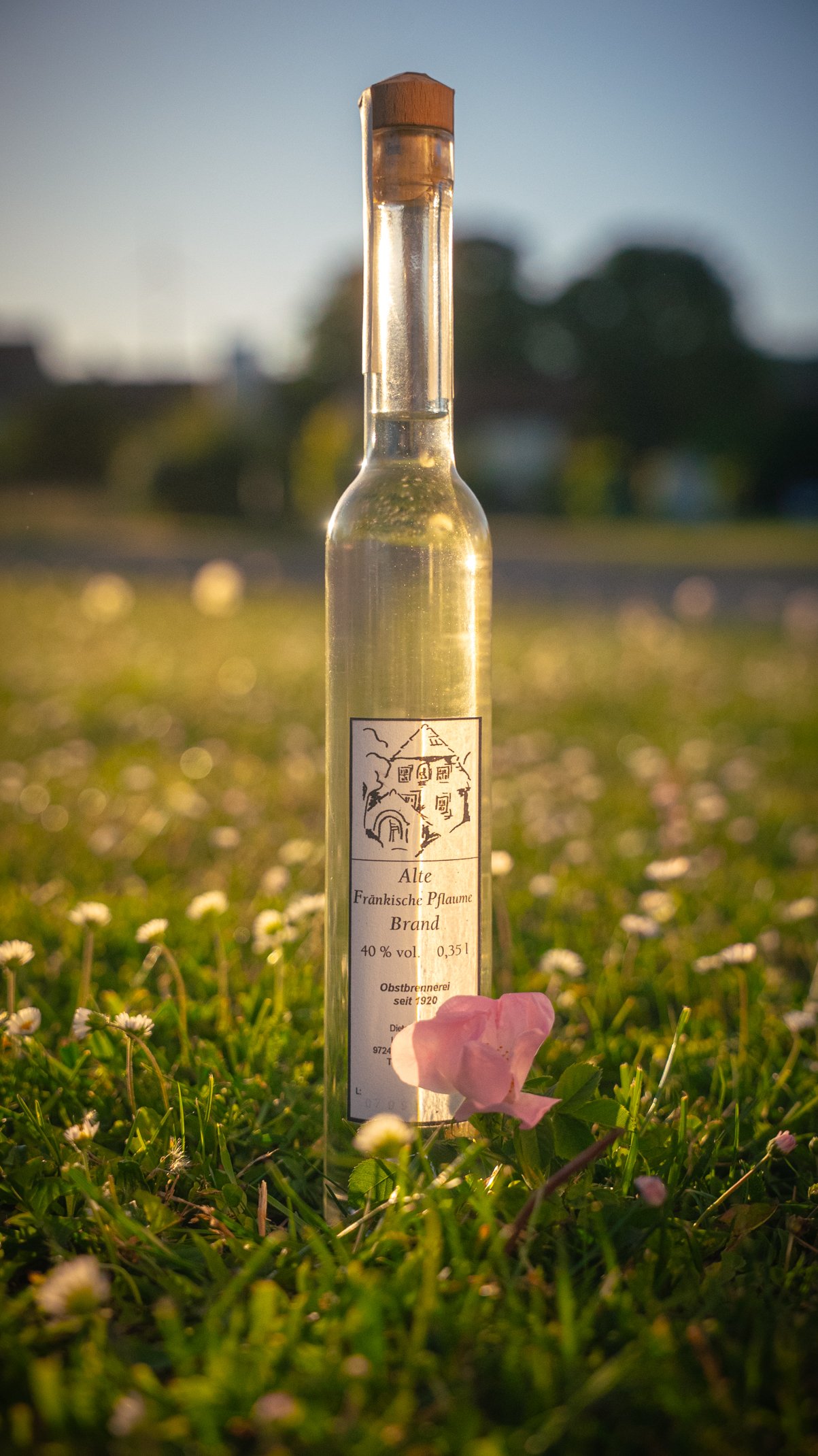 Eine Flasche Brand Alte Fränkische Pflaume von Winzermeister Dieter Amling steht auf einer Sommerwiese.