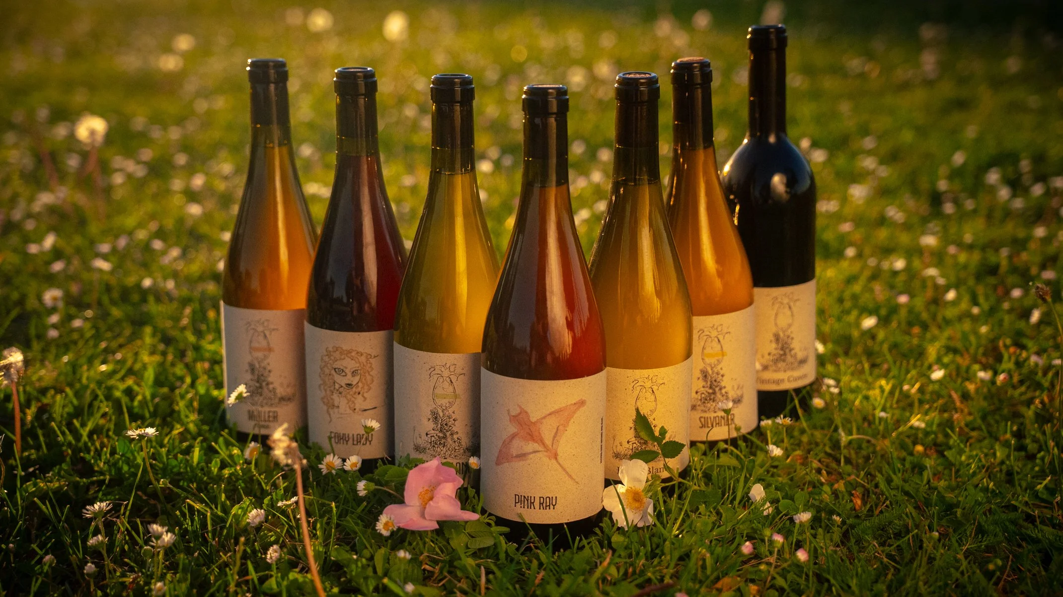 Das Natural Wine Sortiment von Winzer David Amling steht aufgereiht in einer Naturwiese.