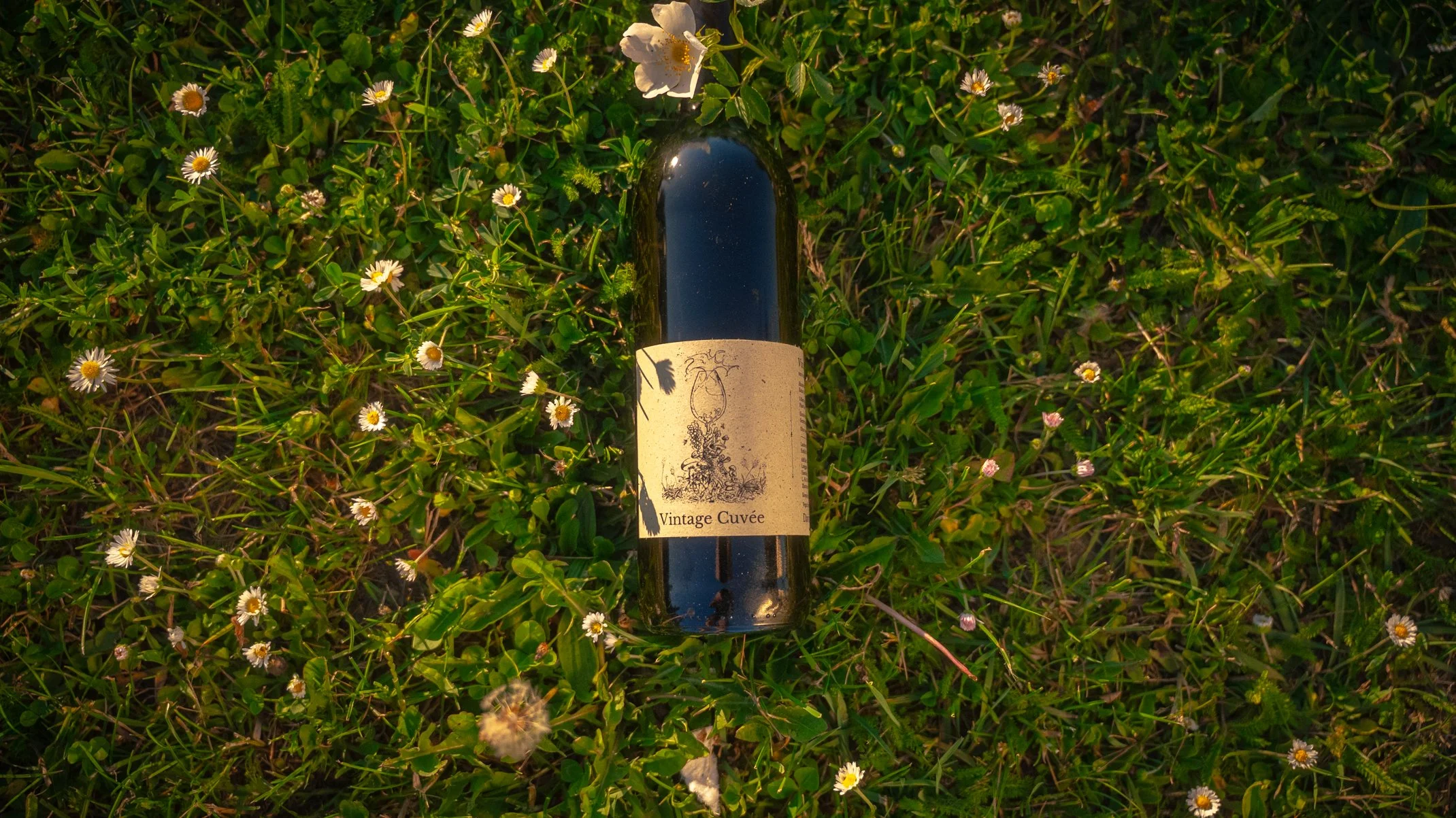 Eine Flasche Vintage Cuvée aus Regent und Pinot Noir von Weingut David Amling liegt auf einer fränkischen Sommerwiese.