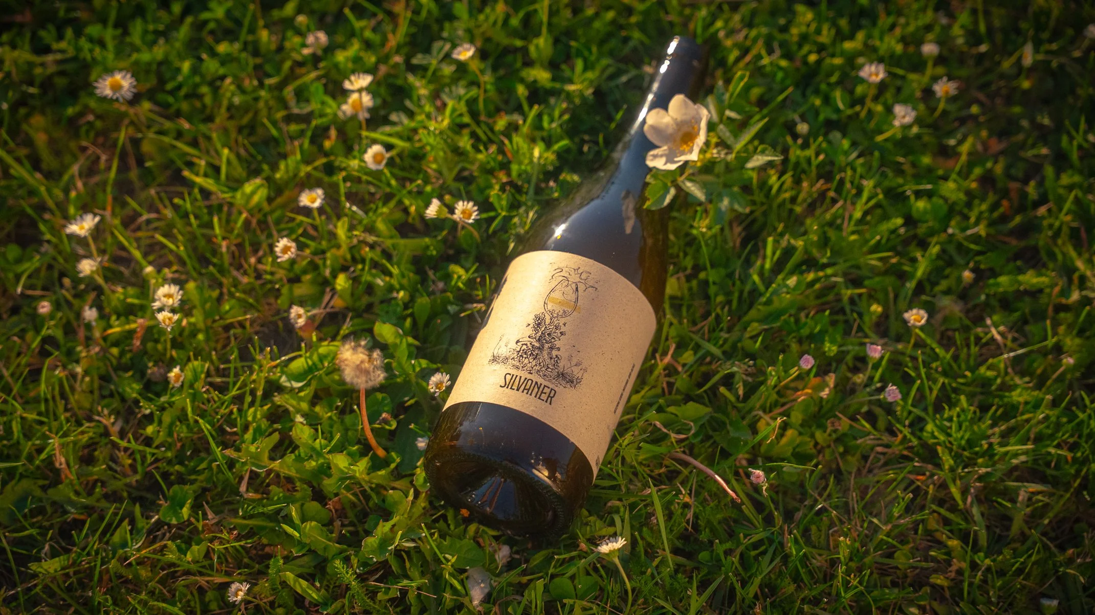 SILVANER