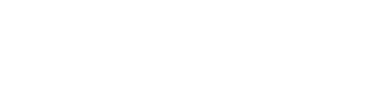 TrueVoice Performance