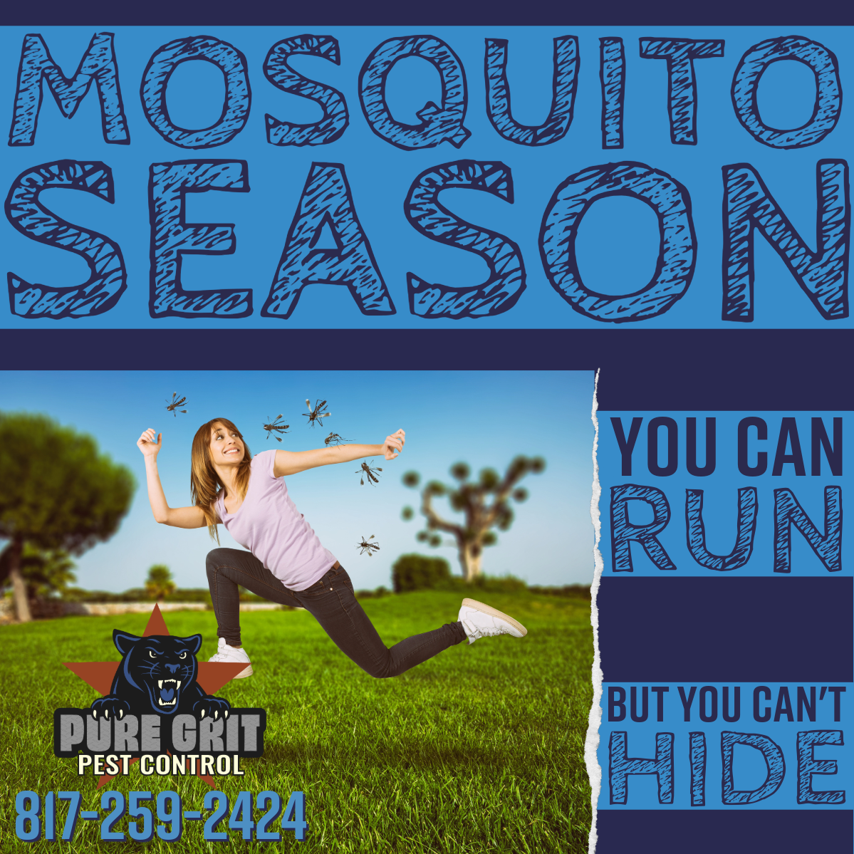 Mosquitoes in Spring: Why You’re Seeing Them Now  