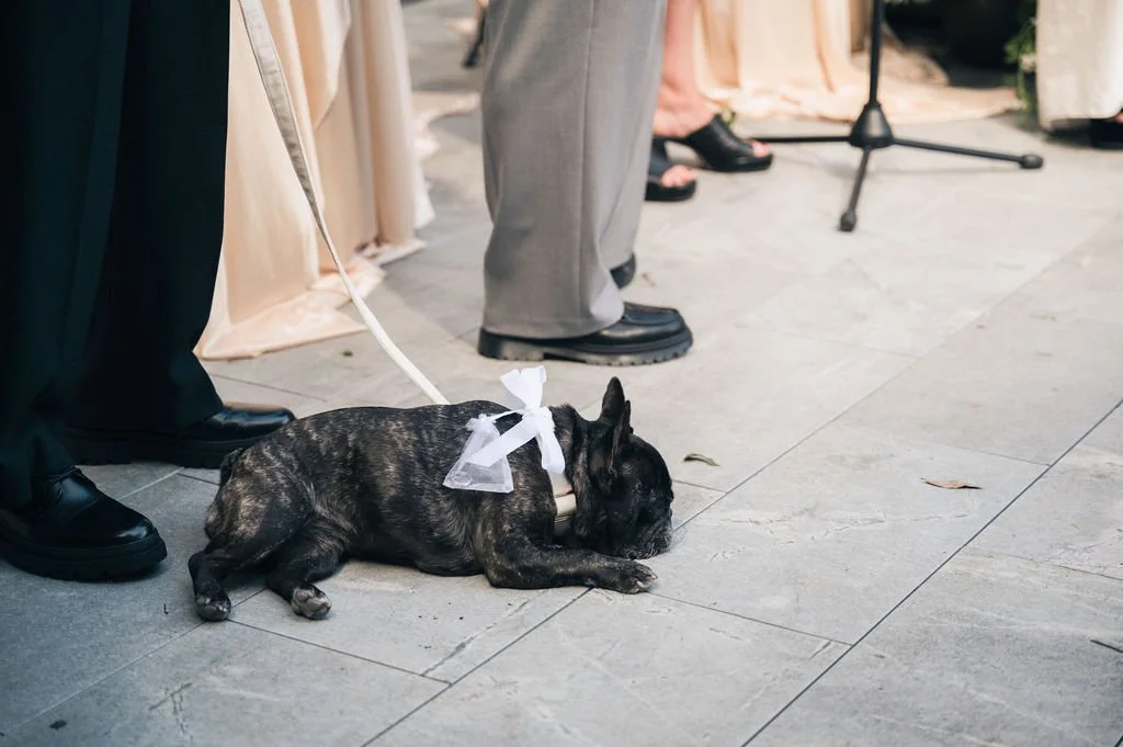E&S-WEDDING-225.jpg