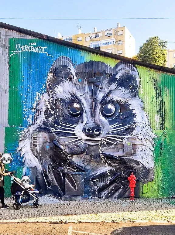 Re-Raccoon