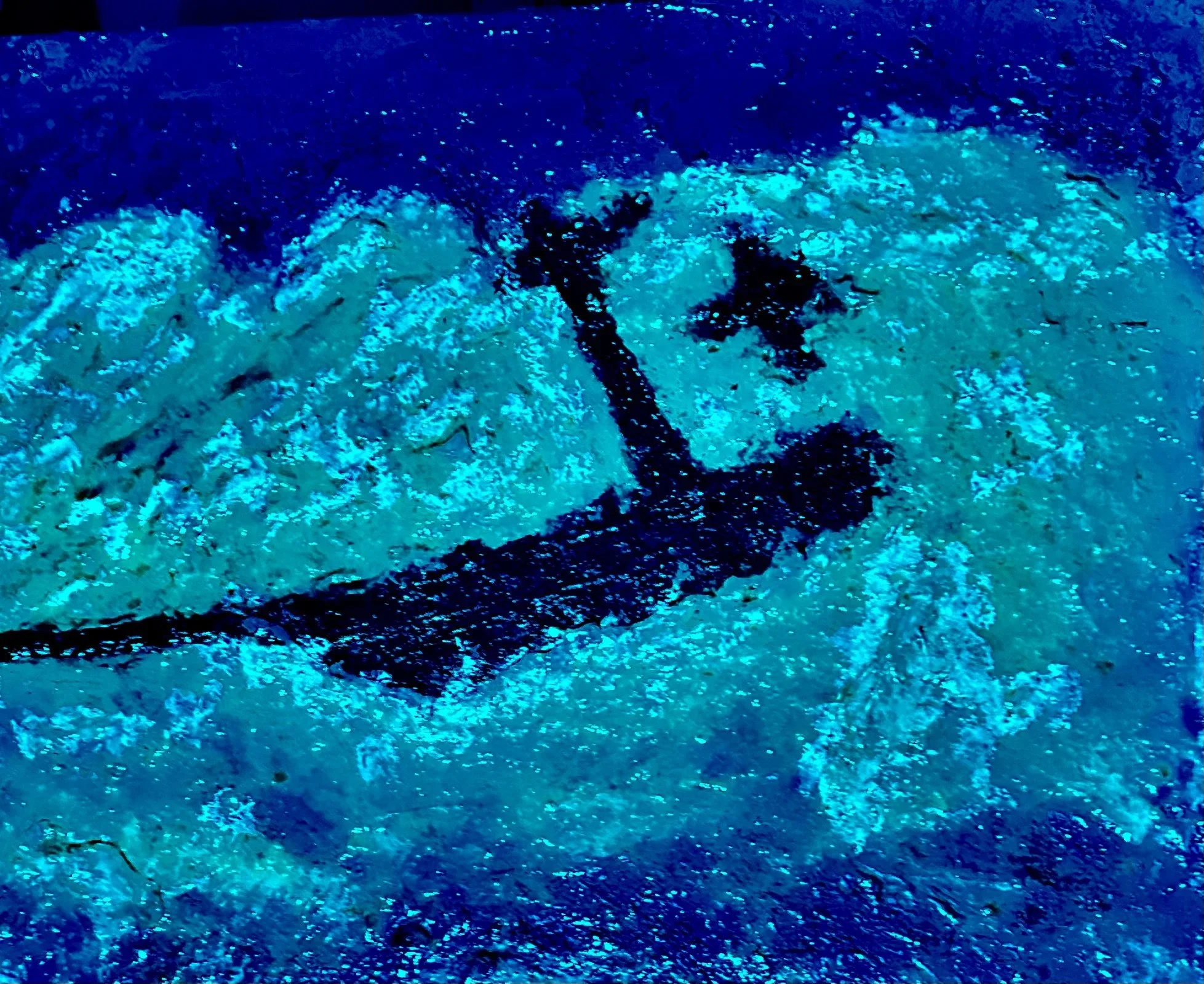 An illuminated sea turtle graphic on a textured blue background, glowing in shades of blue and teal.