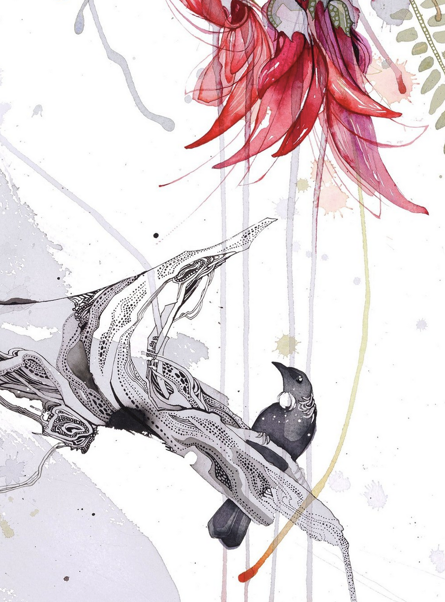 Pohutukawa Loop feat. Kākābeak and Tui2.png