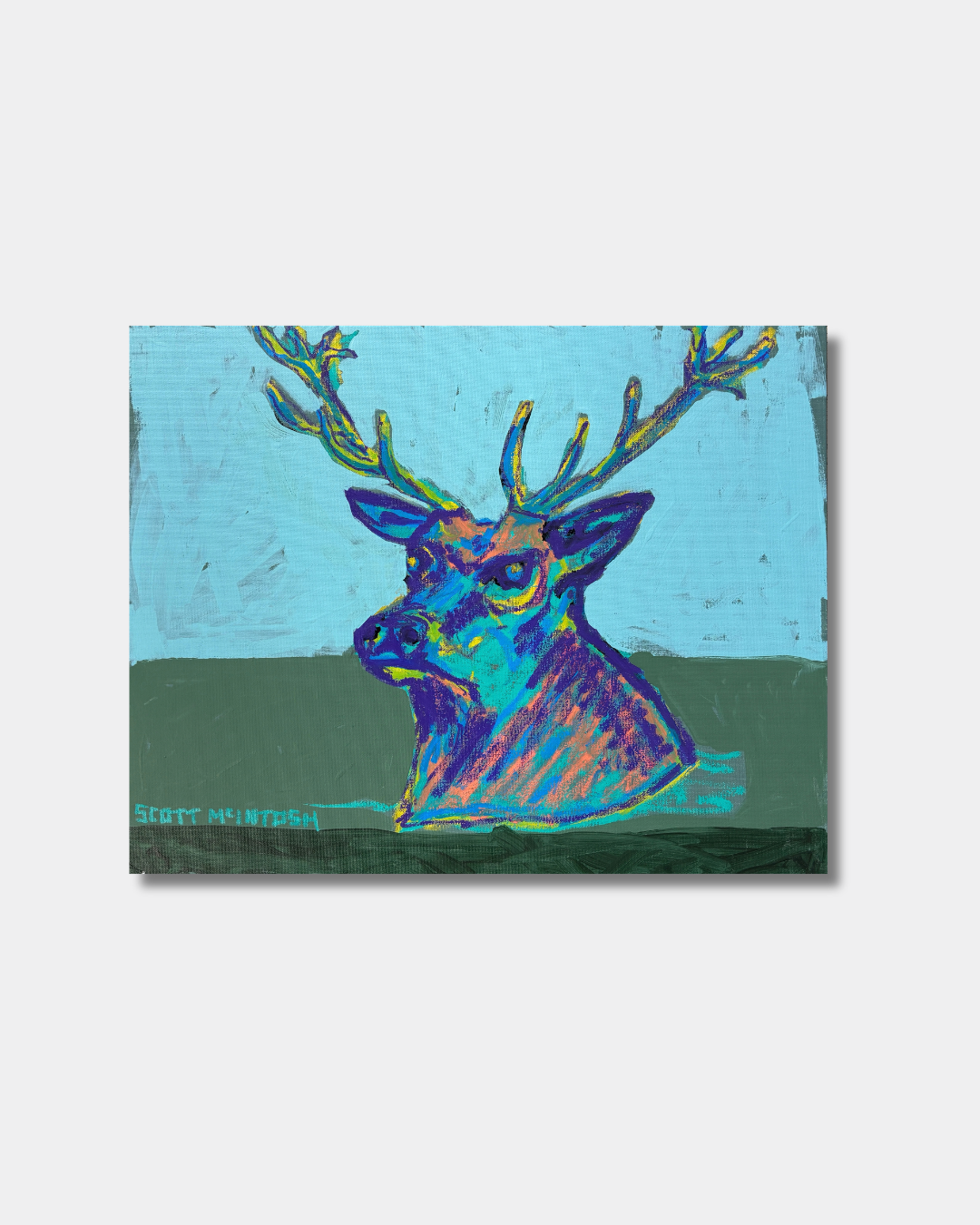 Stag - Scott McIntosh.png