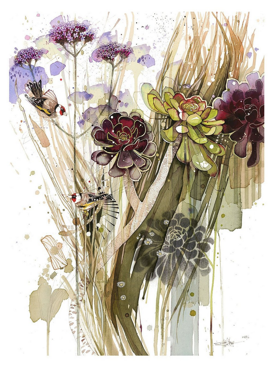 Hot Garden (Verbena, Aeonium, Finch)0.png