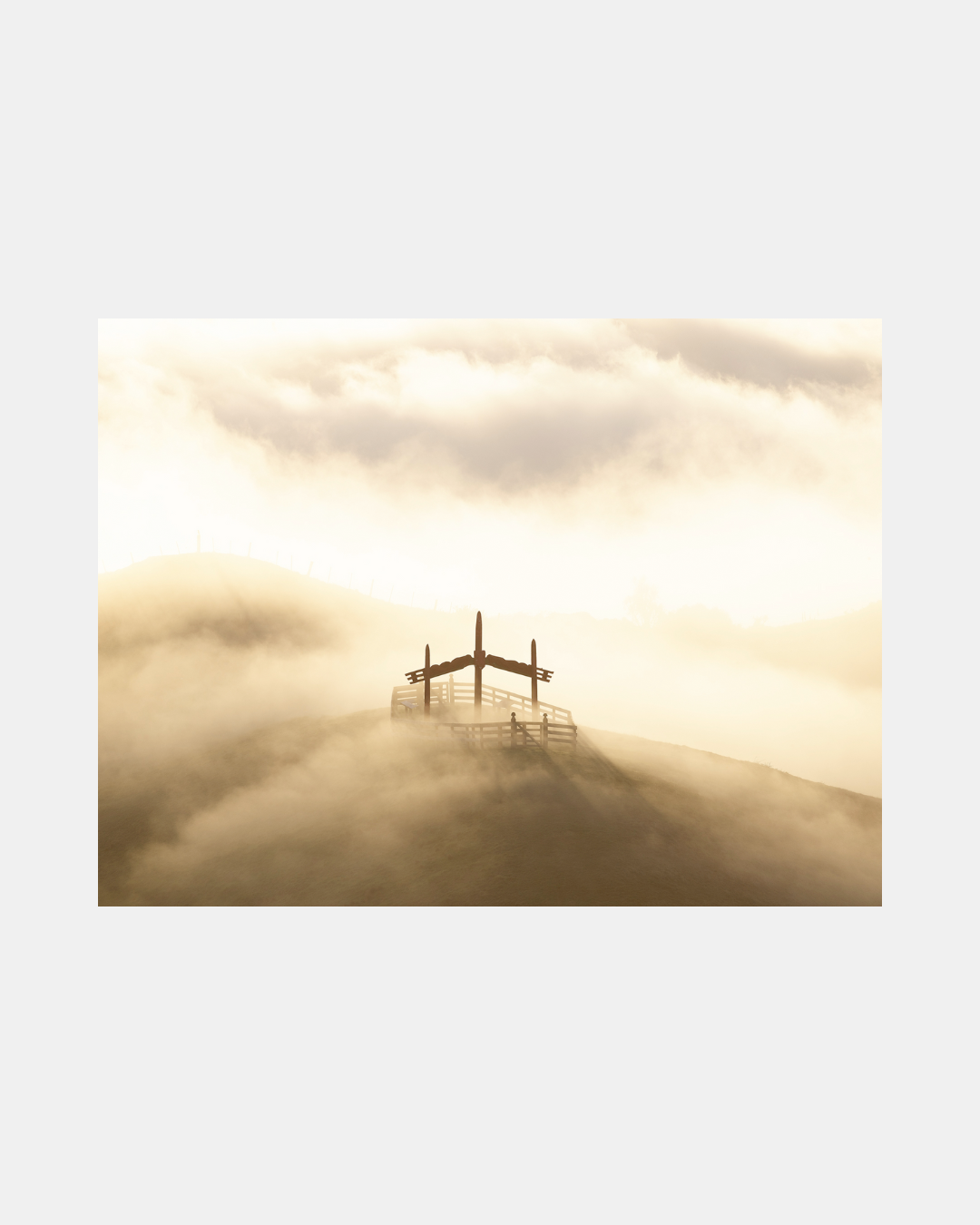 Photography Peter Latham.png